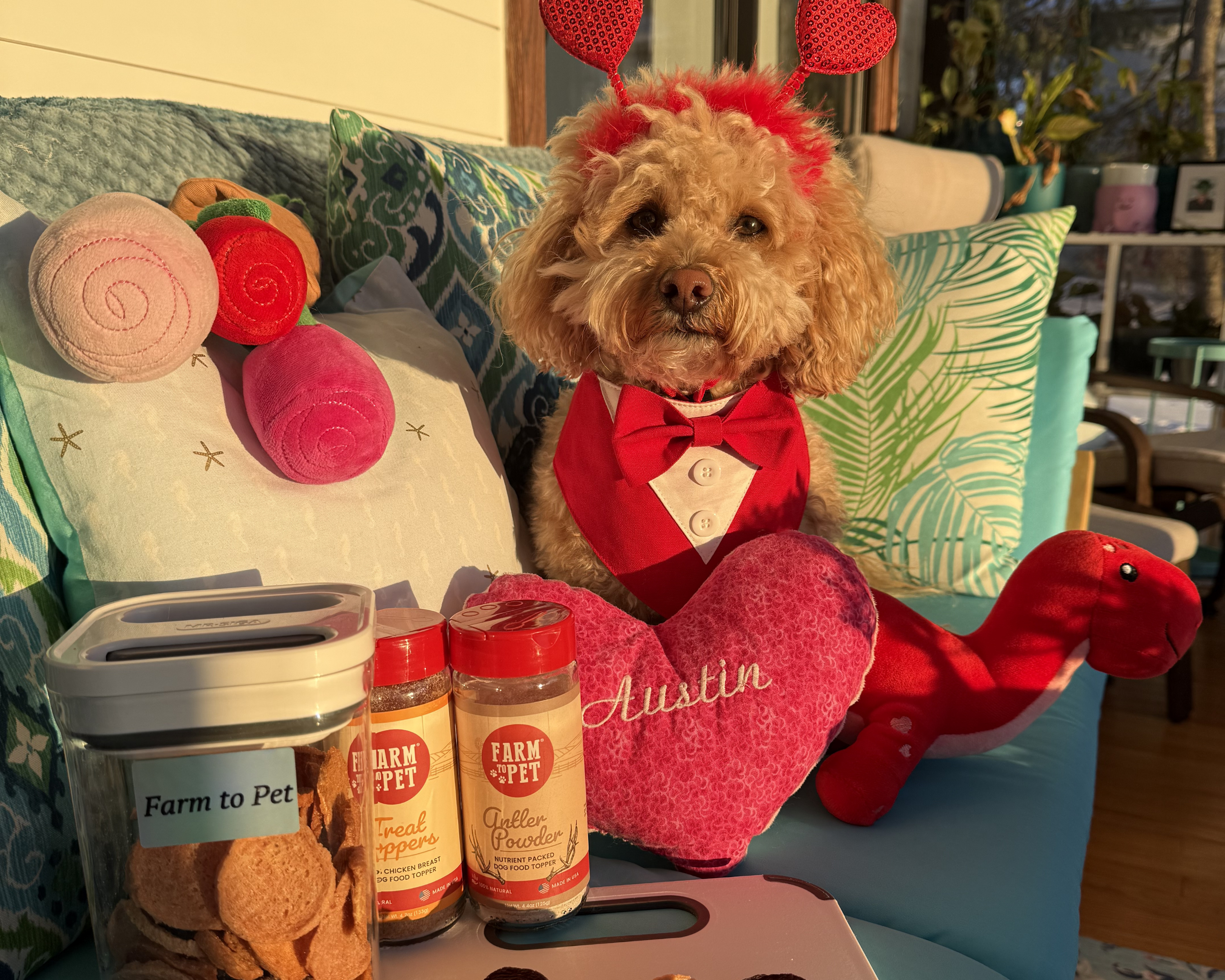 Flower Pot Dog Treat Dispenser