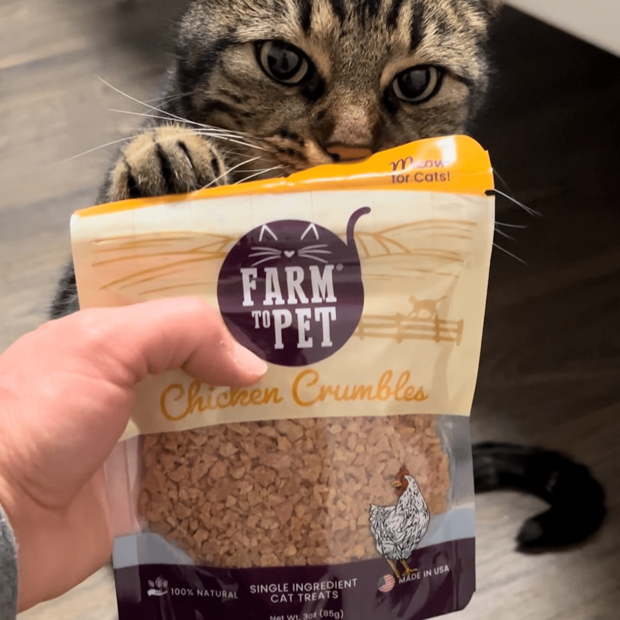 Healthy Cat Treats & Lick Mat Bundle