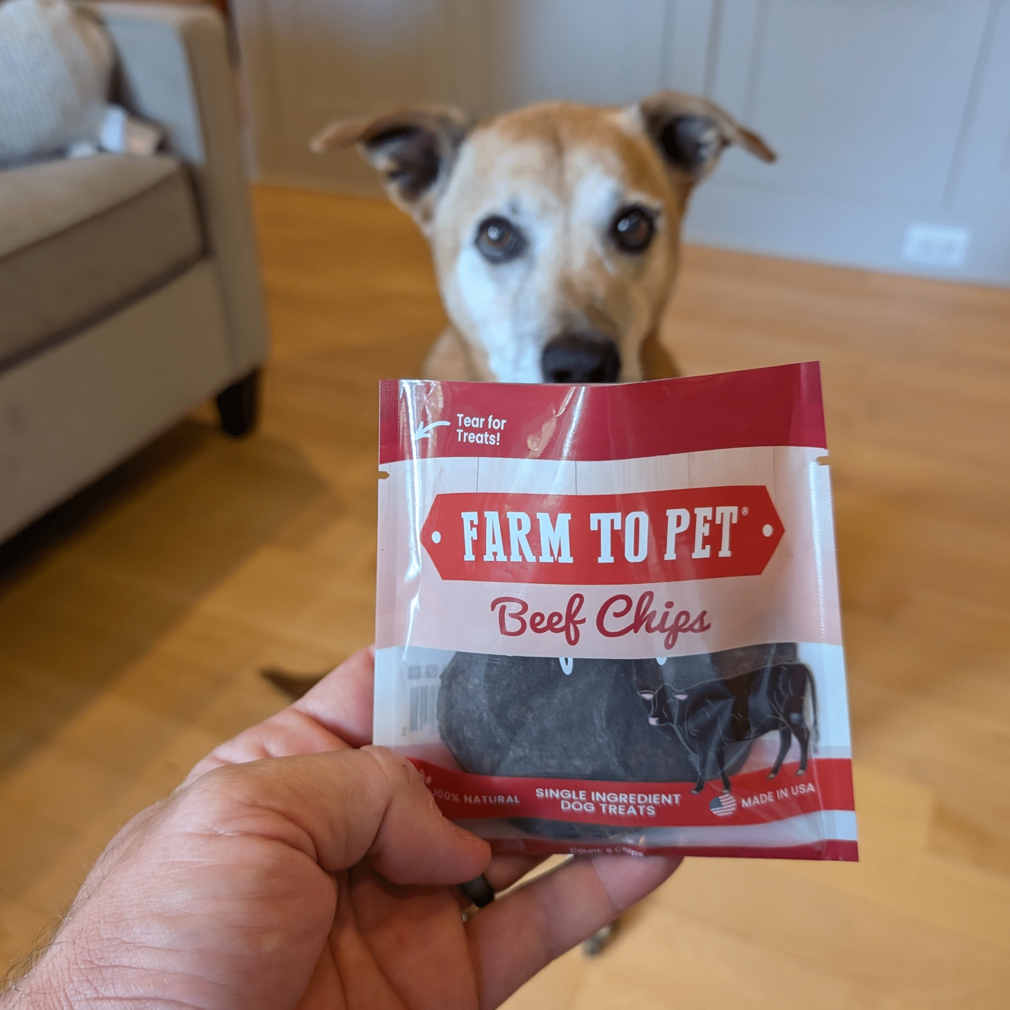 A brown dog staring at a bag of Farmto-pettreats Beef Chips.