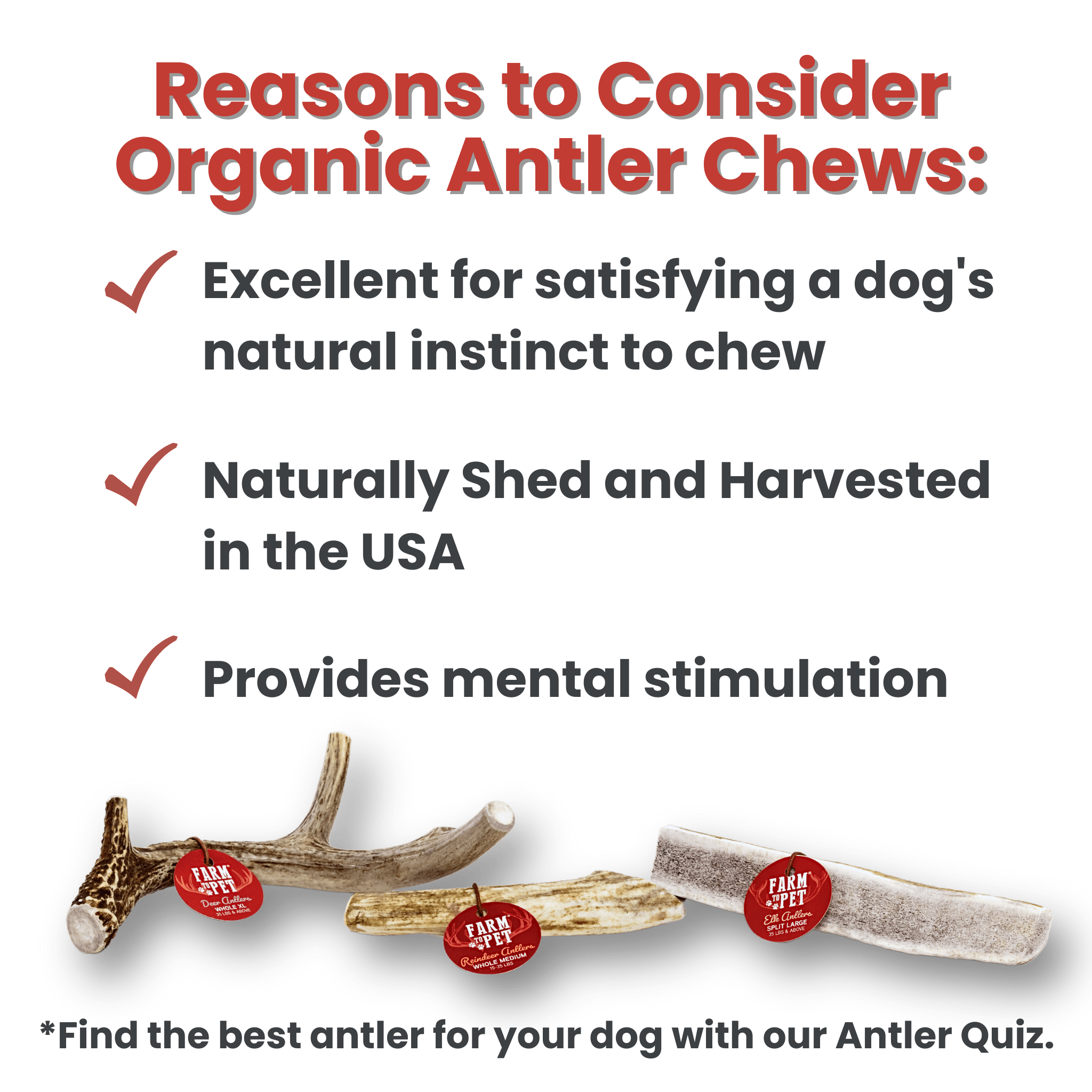 Infographic of Farmto-pettreats Elk Antlers with reasons to consider Organic Antler Chews.