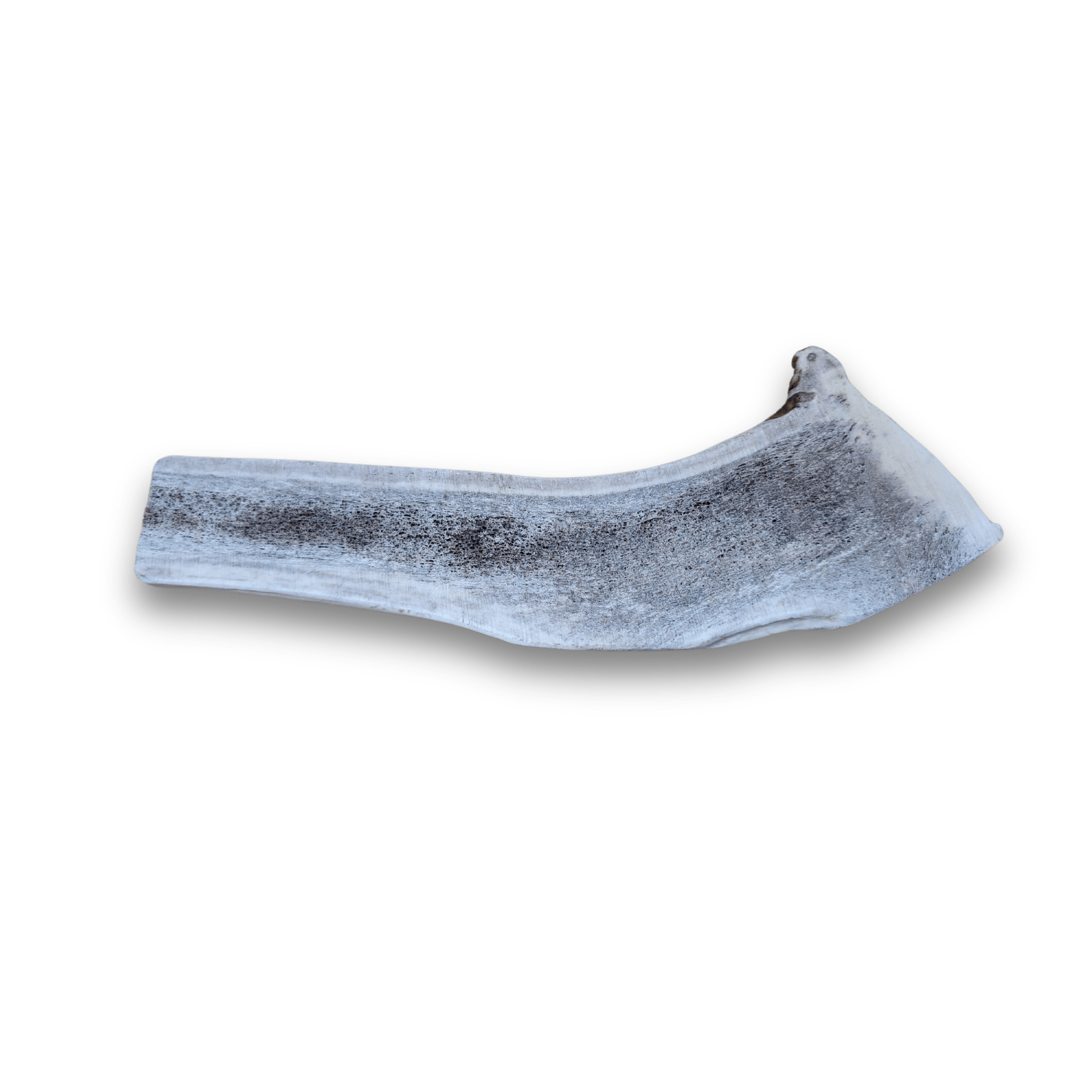 Product Photo of a Farmto-pettreats Giant Split Elk Antlers for Dogs on a white background.
