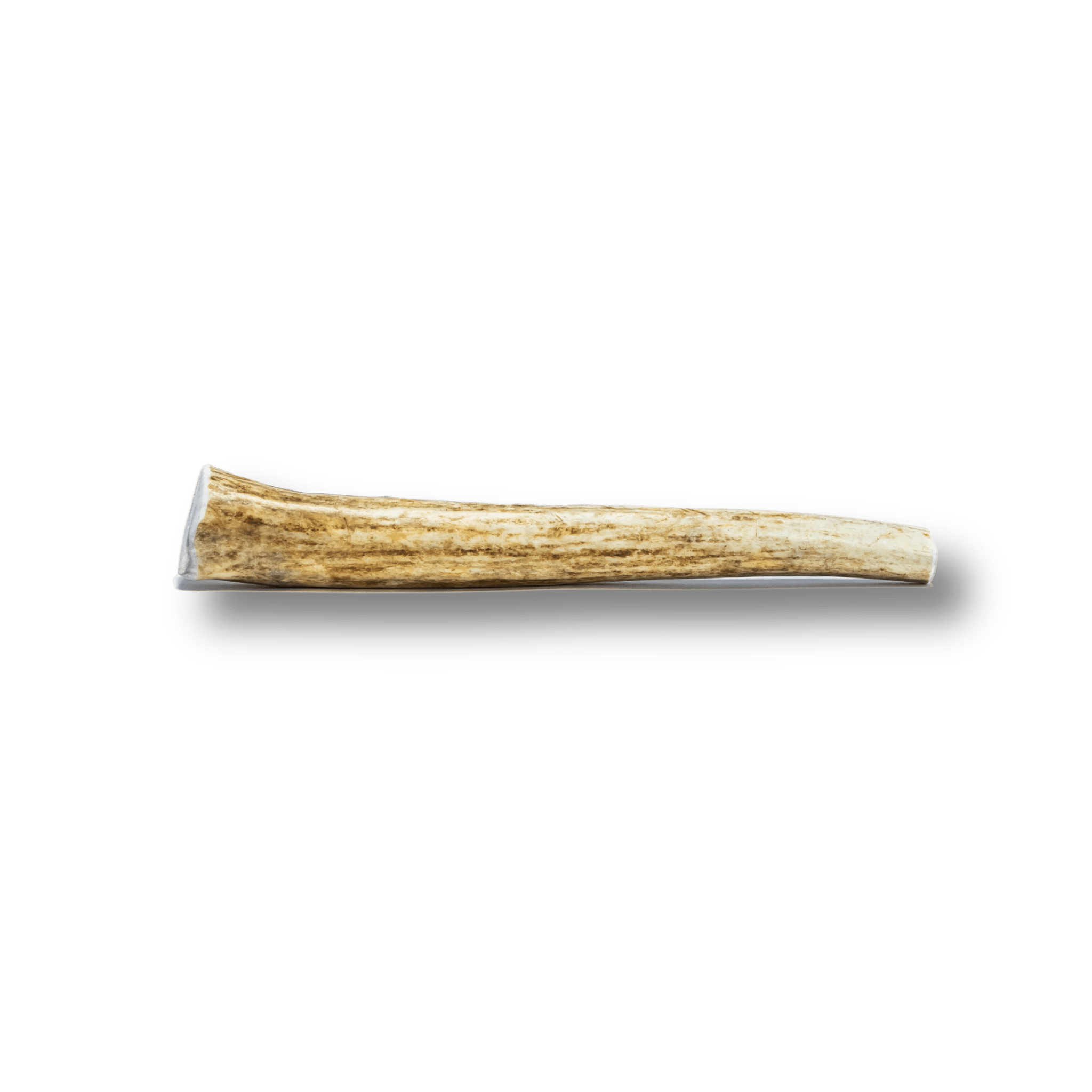 Picture of a Farmto-pettreats Medium Whole Elk Antler Dog Chew with a White Background.