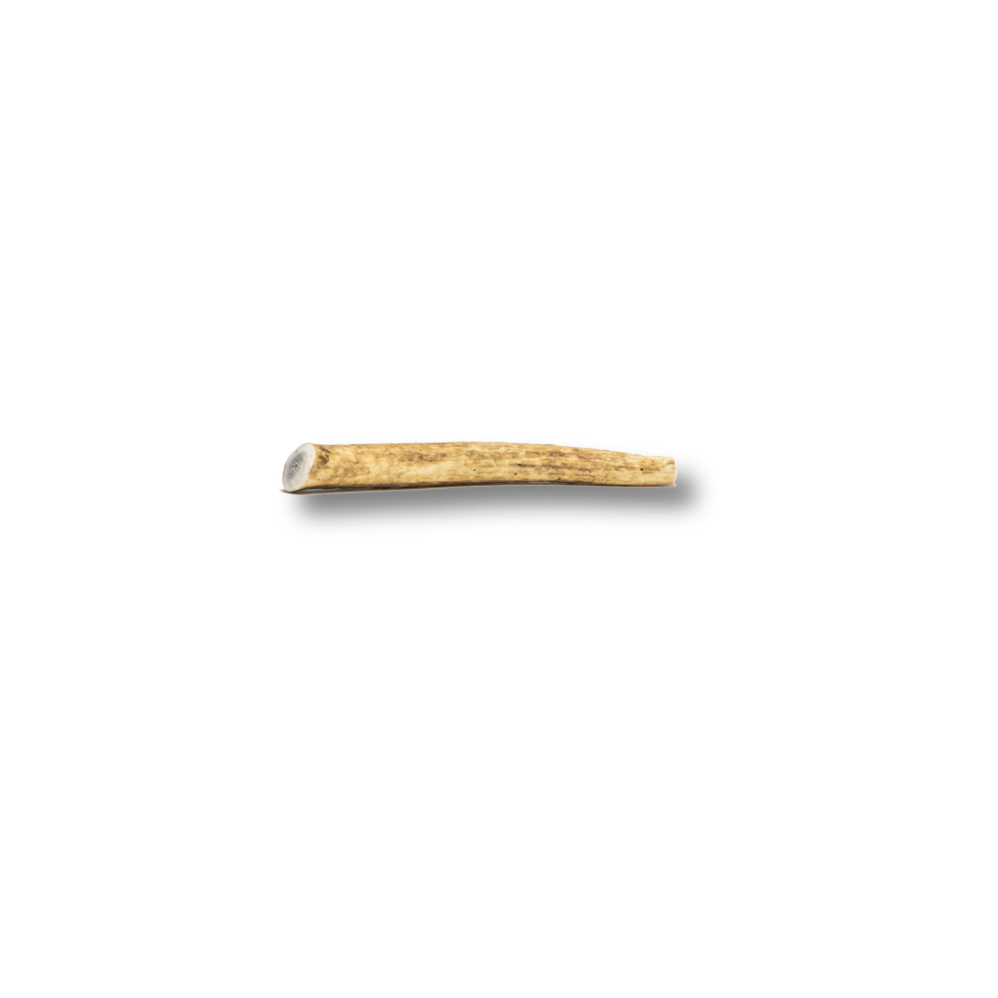 Product Picture of a Small Size Farmto-pettreats Whole Elk Antler on a white background.