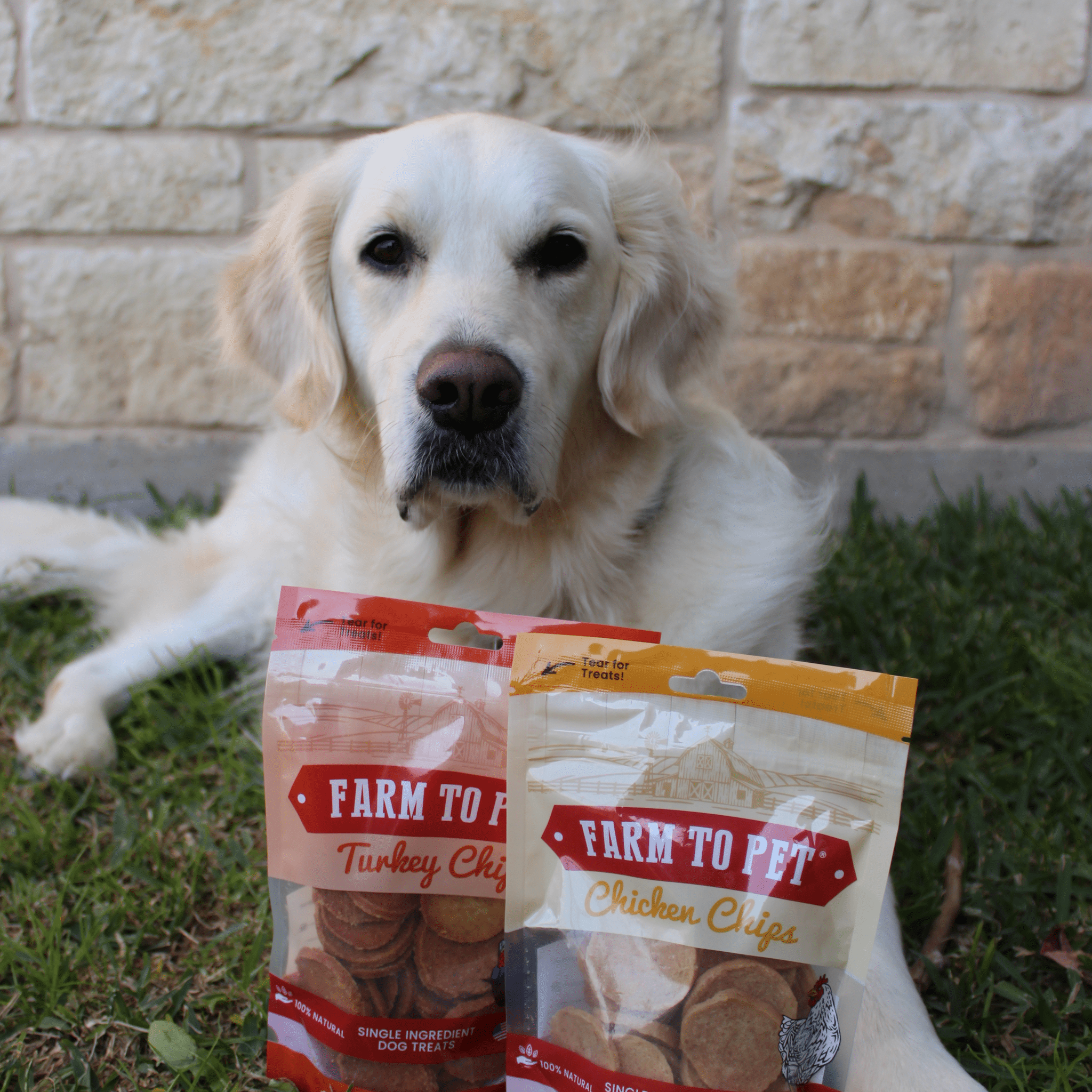  A Golden Retriever with bags of Farmto-pettreats Chicken & Turkey Treat Protein Pack.