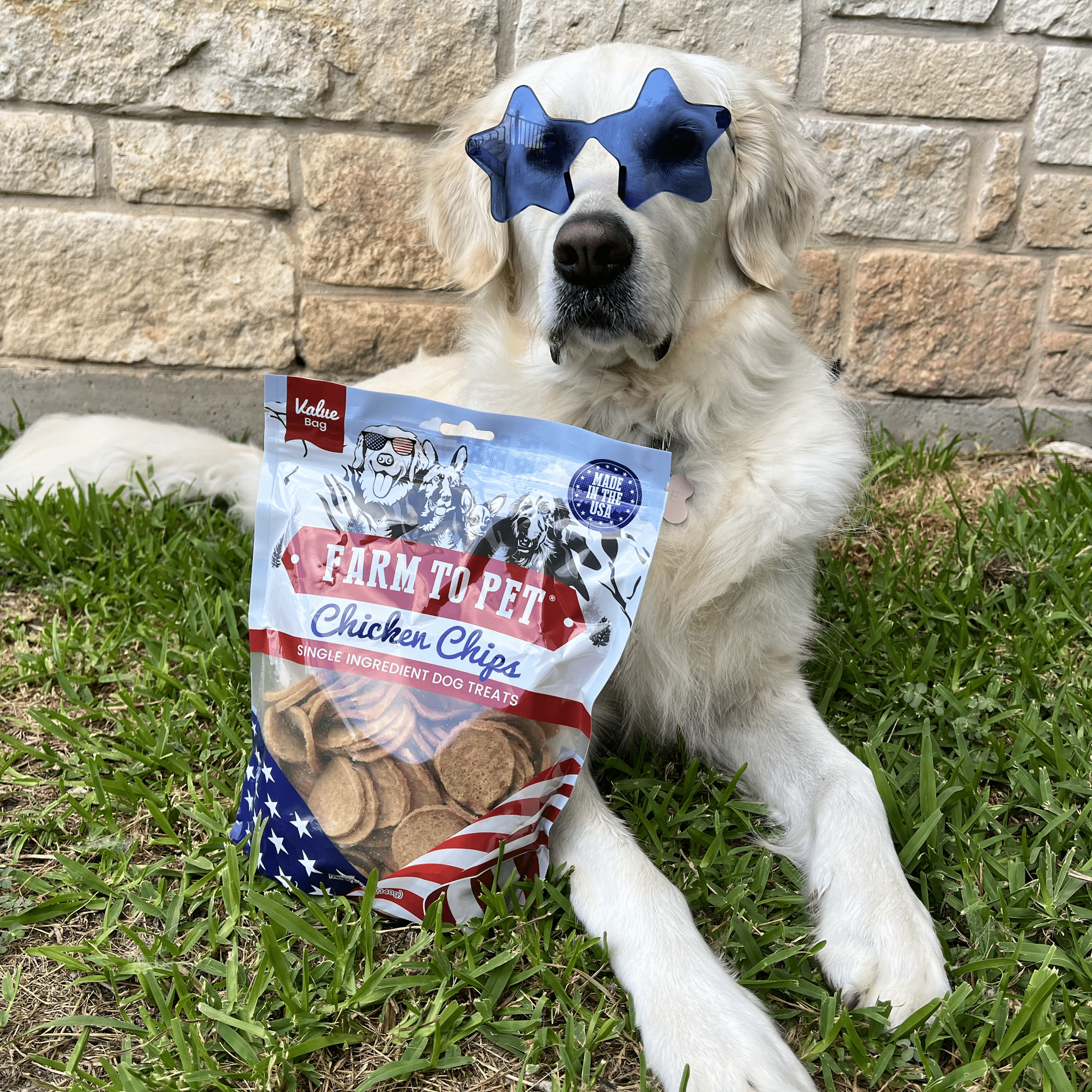 A white Golden  Retriever with blue star sun glasses by a bag of Farmto-pettreats Americana Chicken Chips.