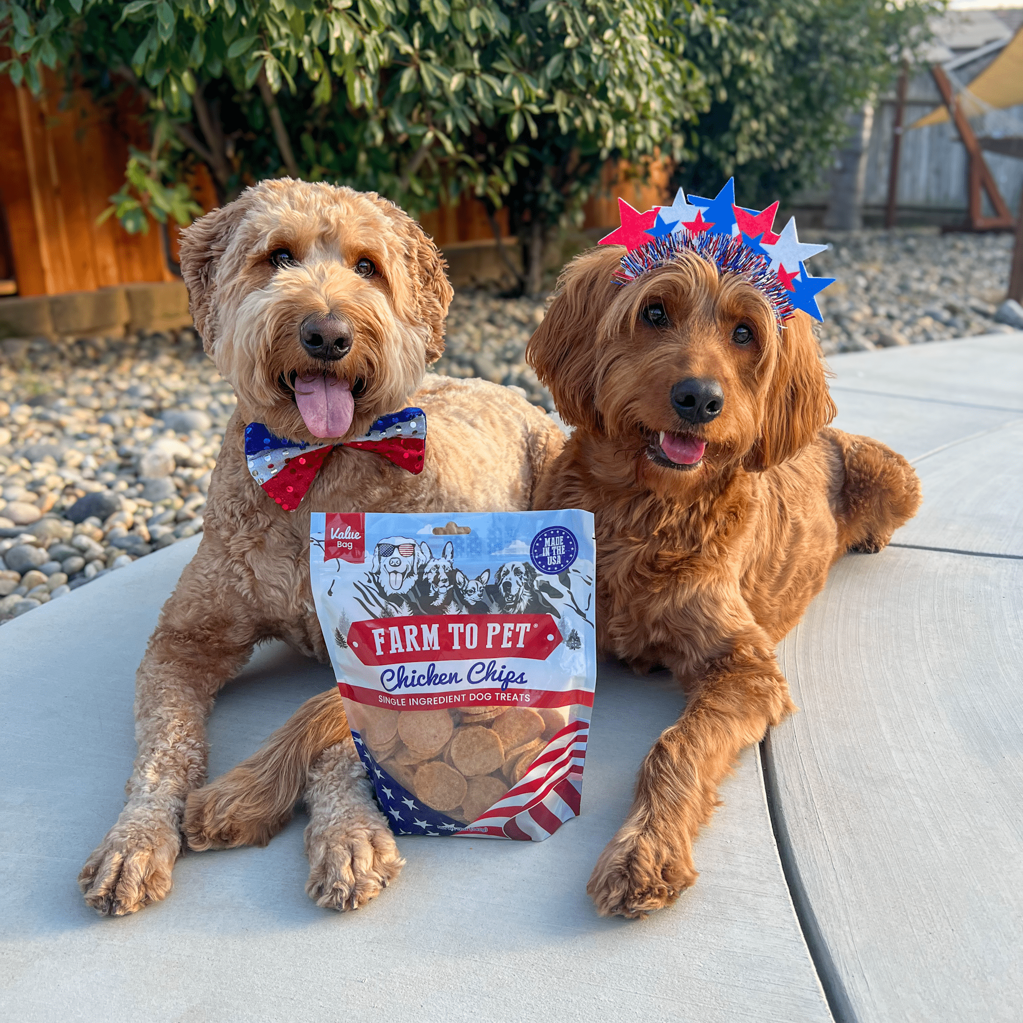 Two Golden doodles red white and blue laying with a bag a Farmto-pettreats Americana Chicken Chips.
