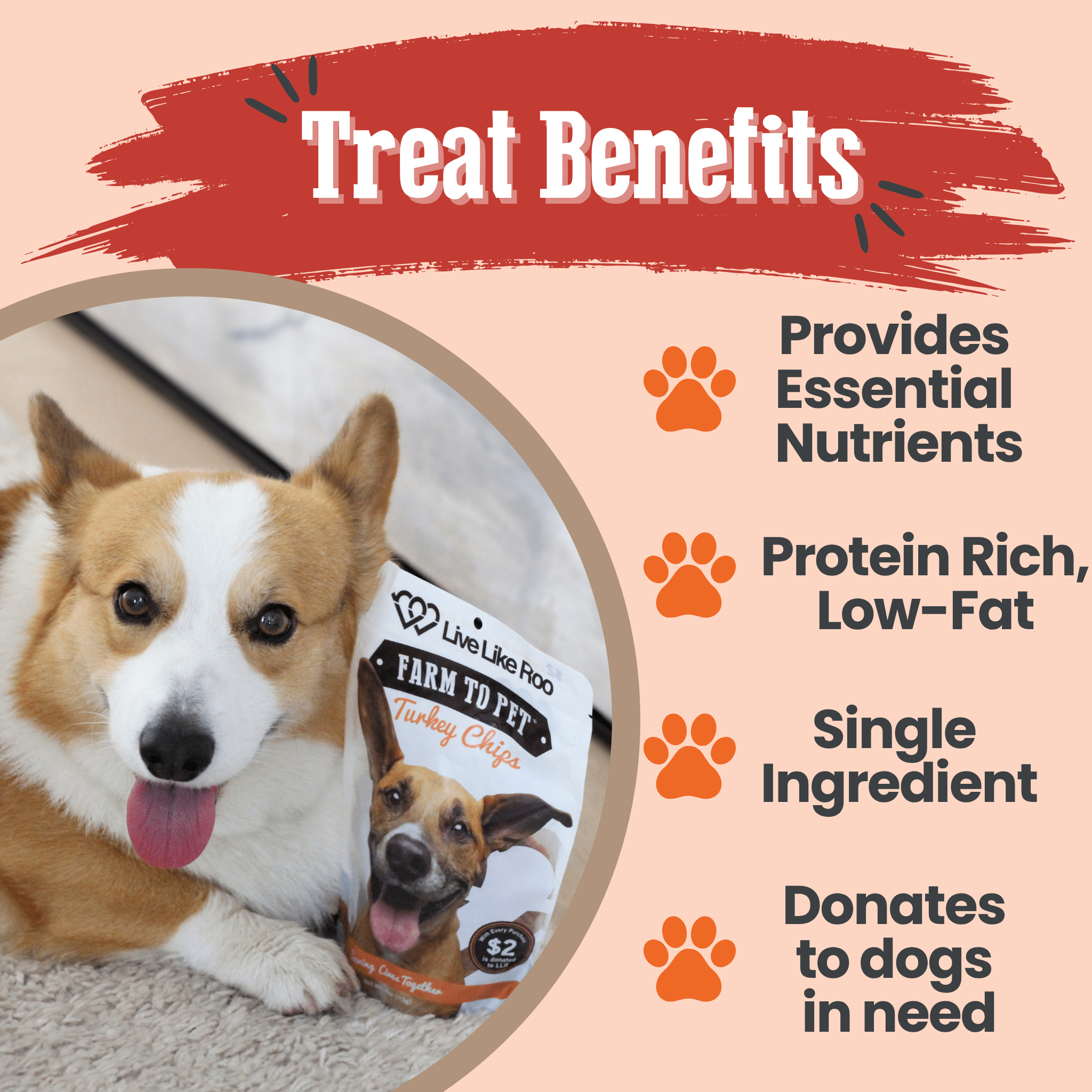 A Corgi laying by a Farmto-pettreats turkey treat package with a text about treat benefits on a peach background.