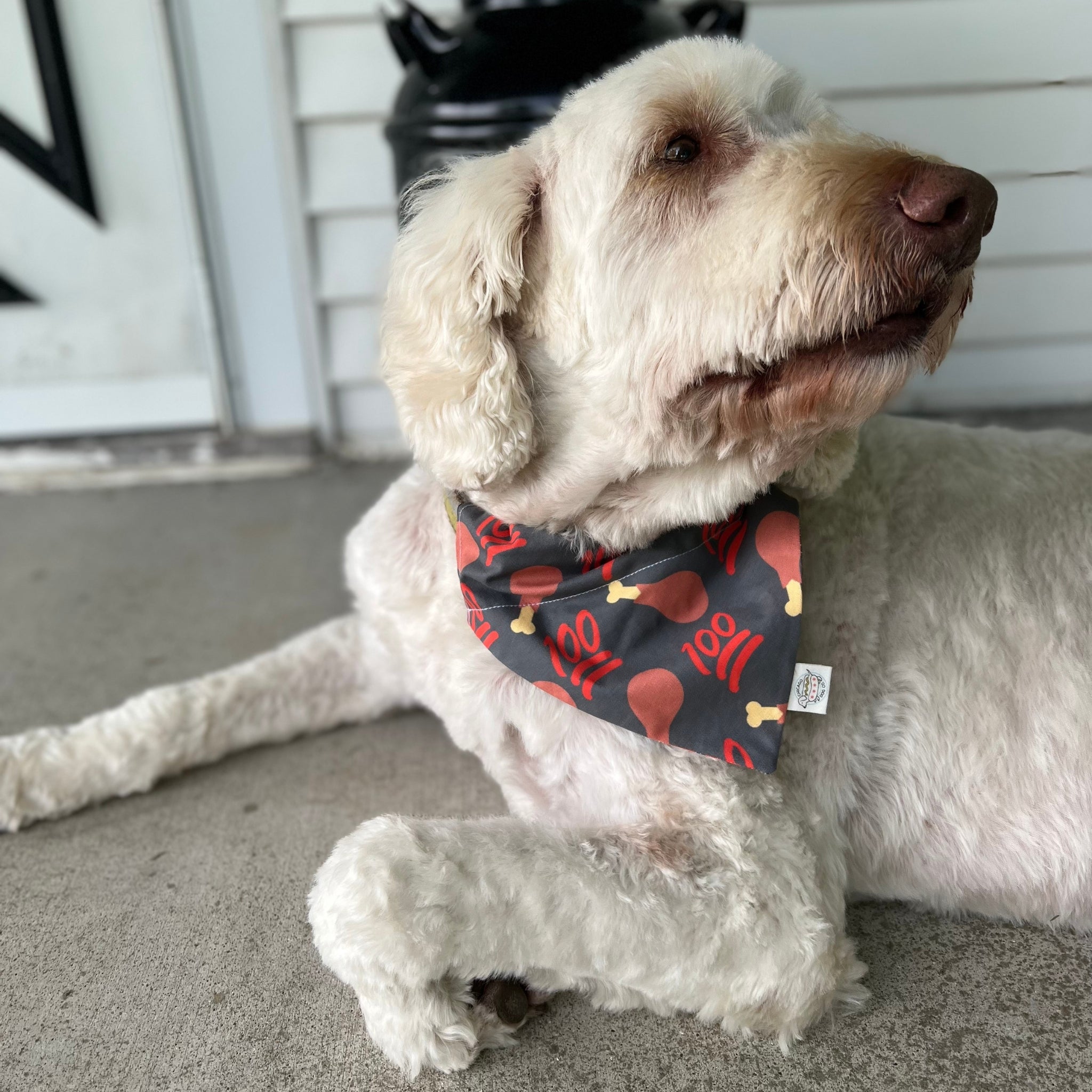 Farmto-pettreats Original Dog Bandana
