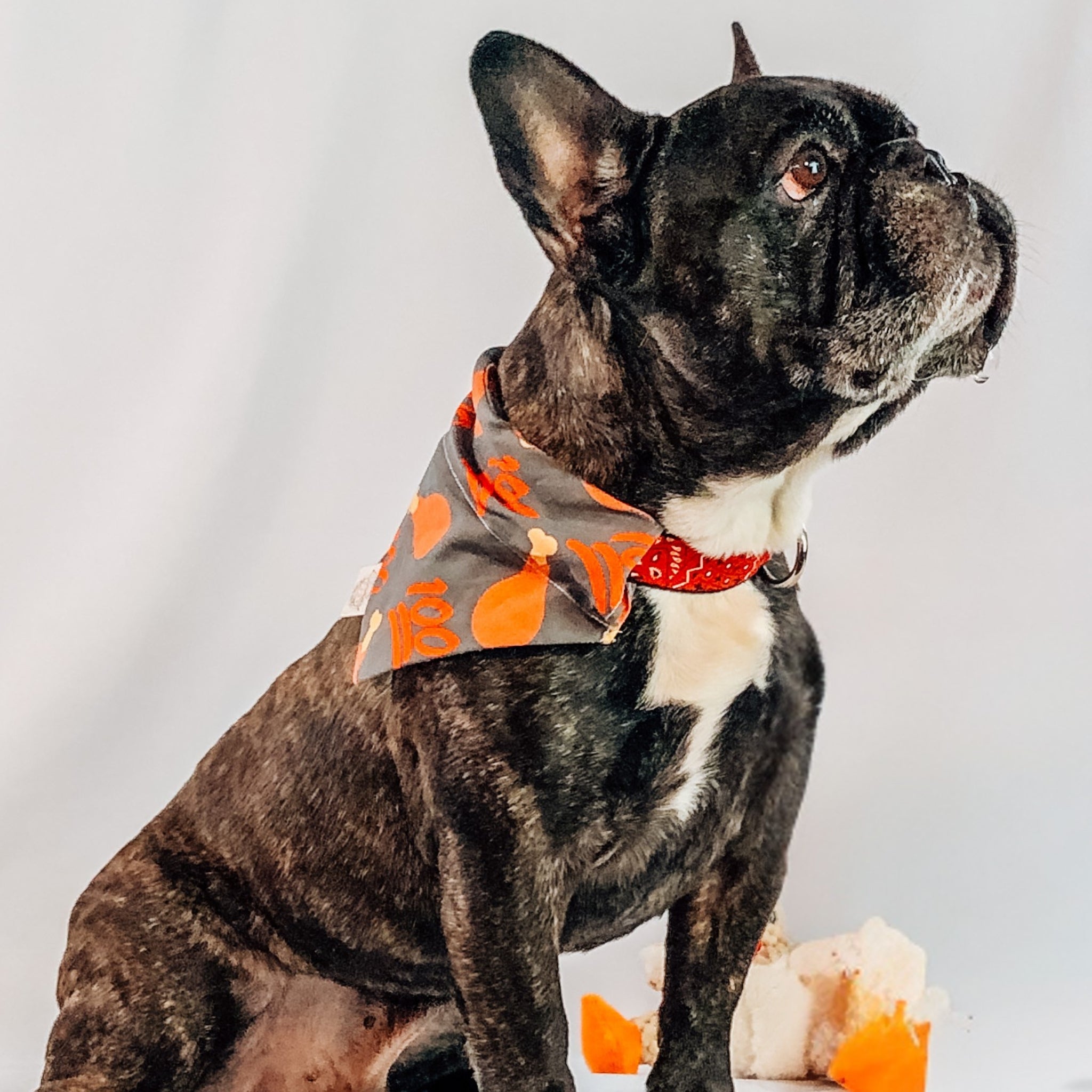 Farmto-pettreats Original Dog Bandana