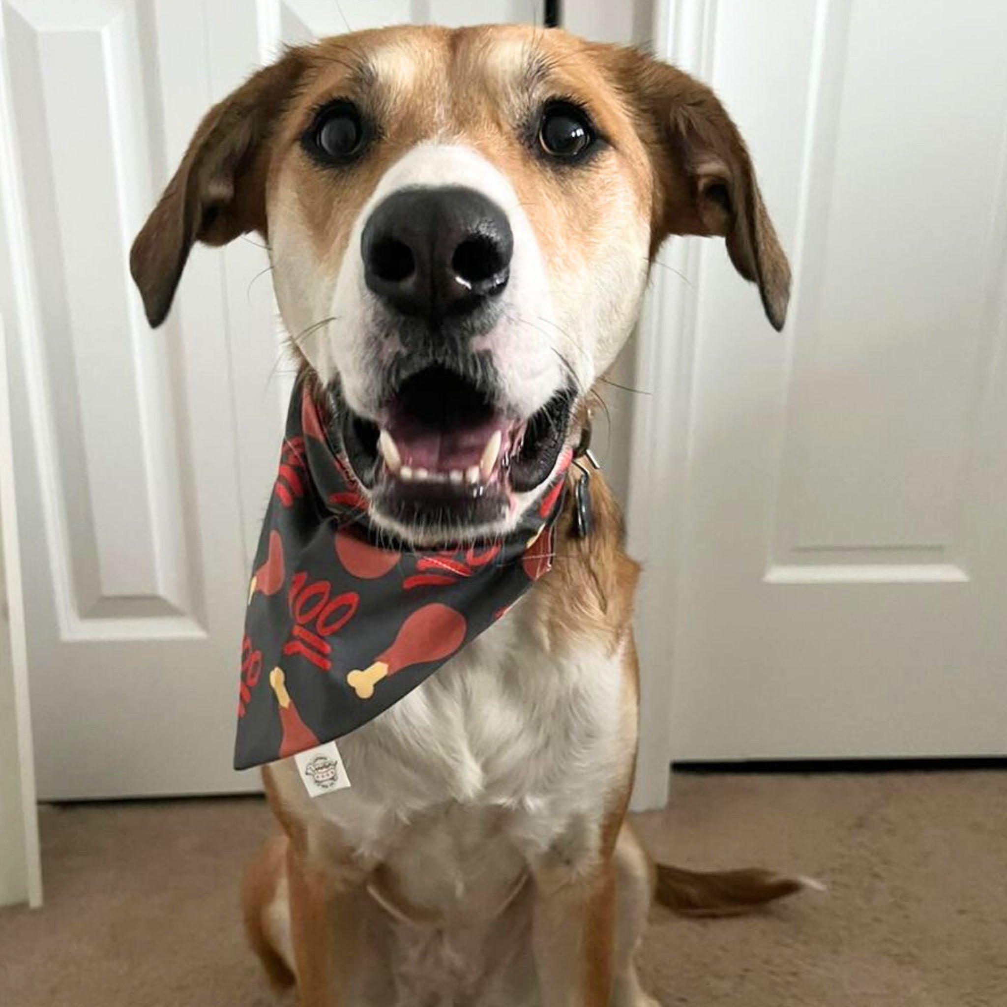 Farmto-pettreats Original Dog Bandana