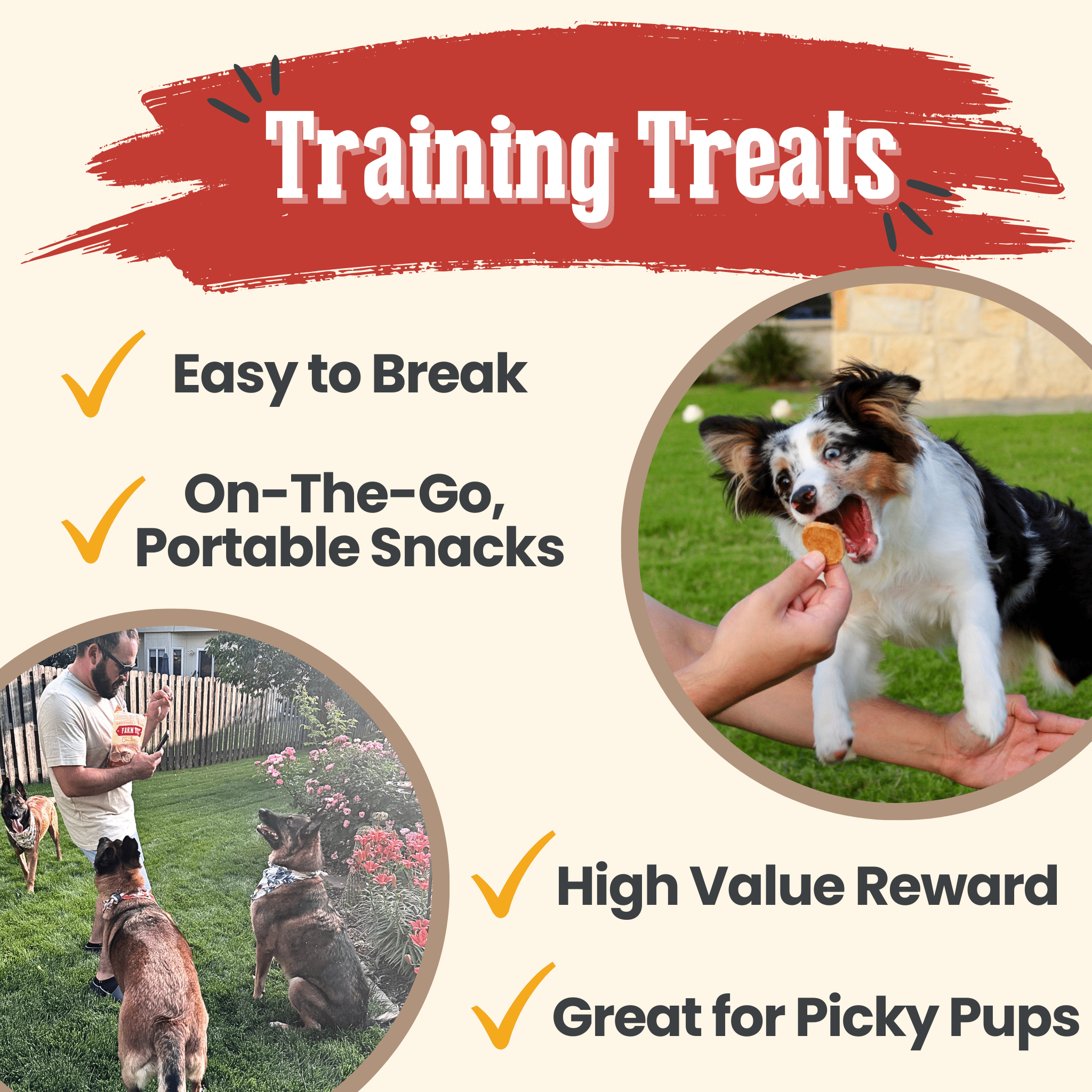  Farmto-pettreats Dog training treats advertisement with a dog eating a treat and people training dogs outdoors.
