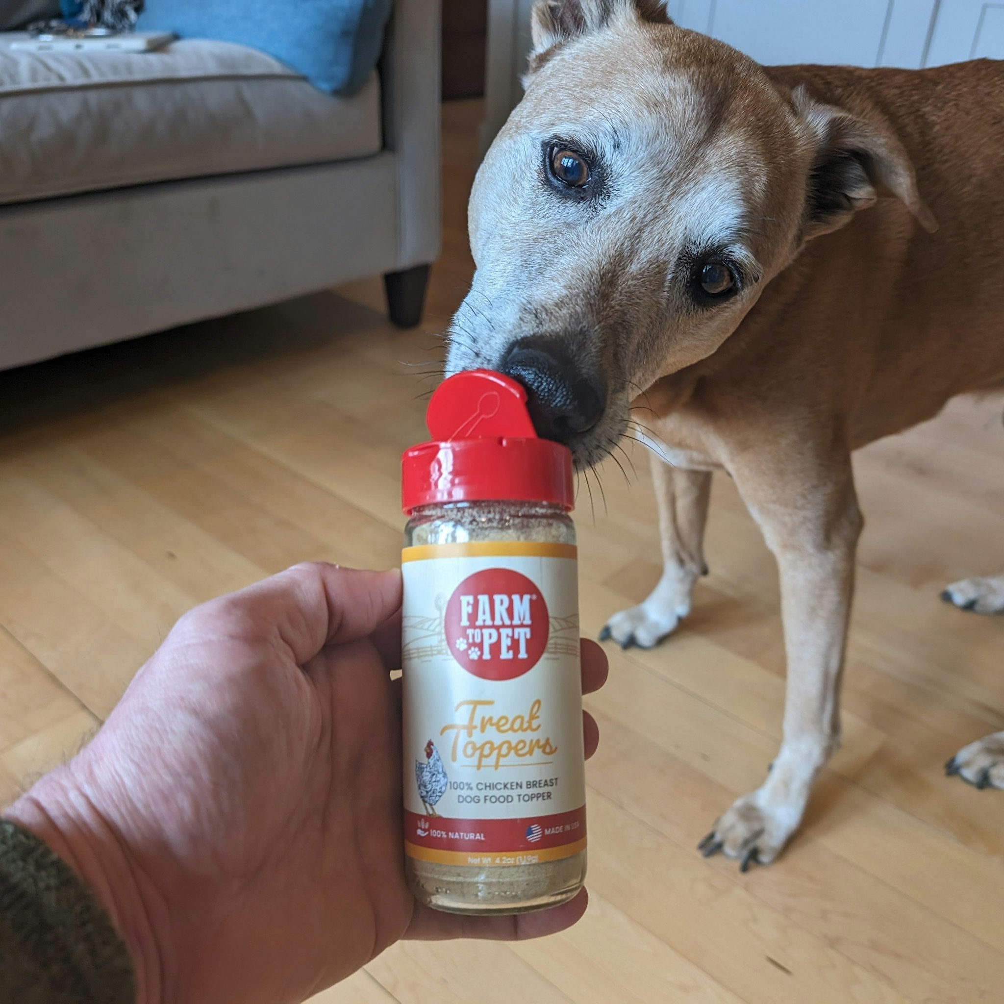 Farmto-pettreats Chicken Treat Dog Food Topper with a hand holding it and a brown rescue dog that sniff the topper.