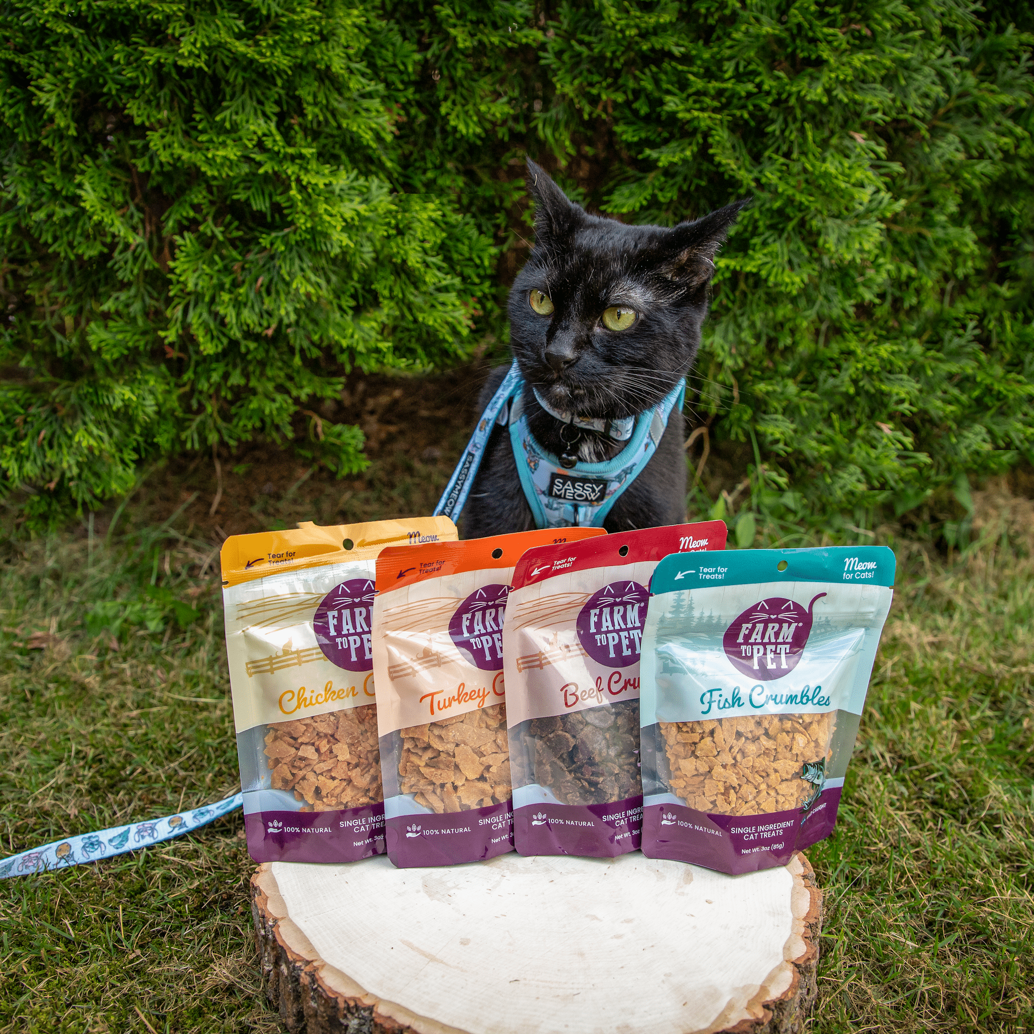 Black Cat sitting behind a wooden stump with packages of Farmto-pettreats Chicken, Turkey, Beef and Fish Cat Crumbles.