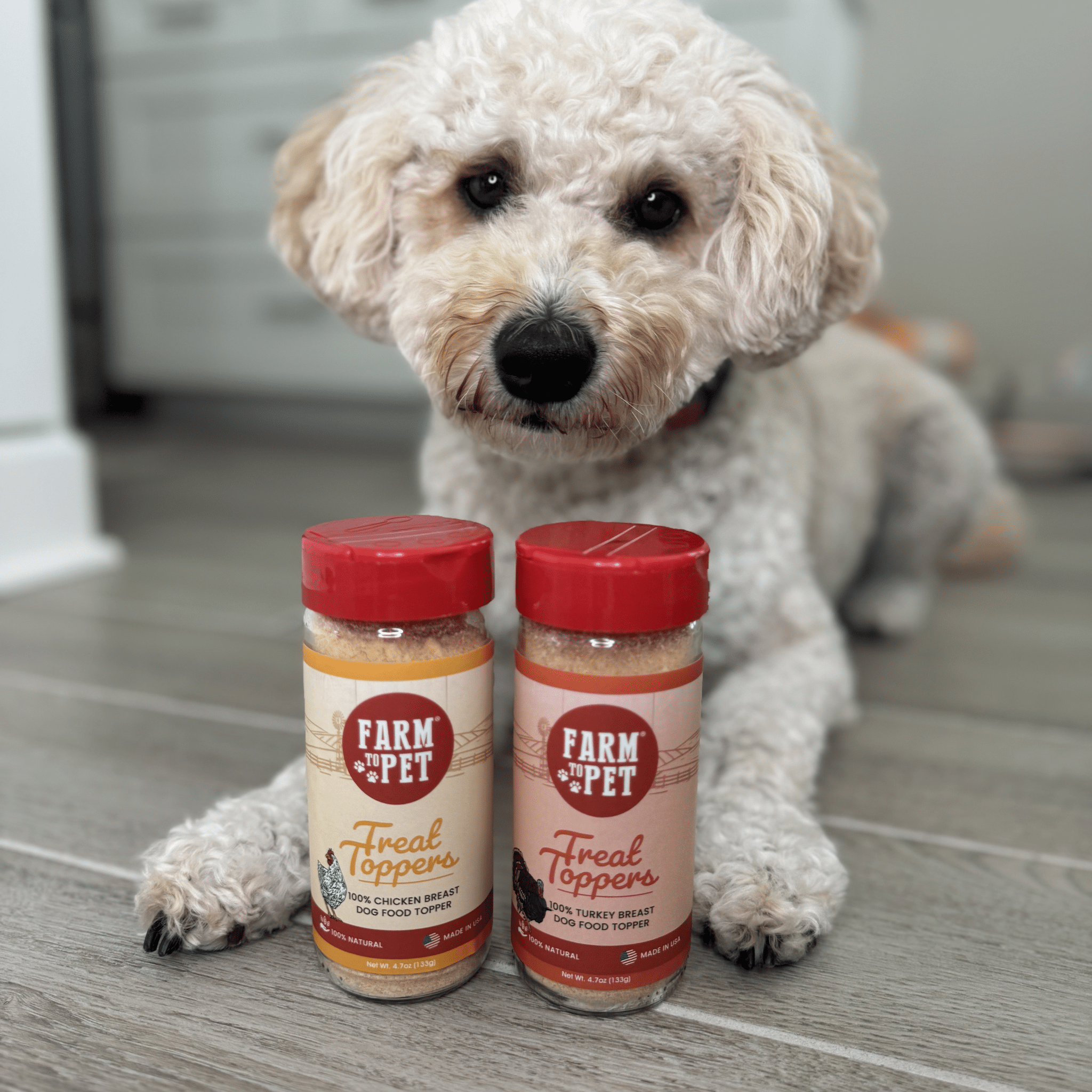 Products of Farmto-pettreats Chicken and Turkey Combo Toppers with a white small doodle dog  in a kitchen.