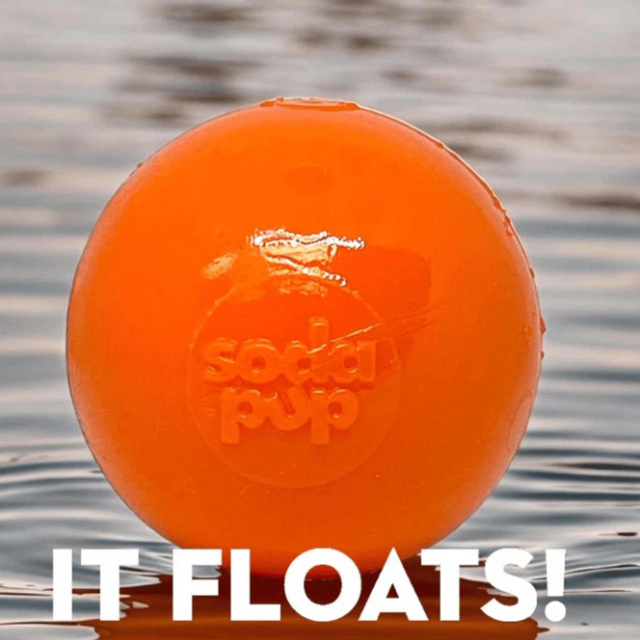 A Farmto-pettreats Dog Fetch Ball Crazy Bounce Ball a Orange ball floating on water. It Floats 