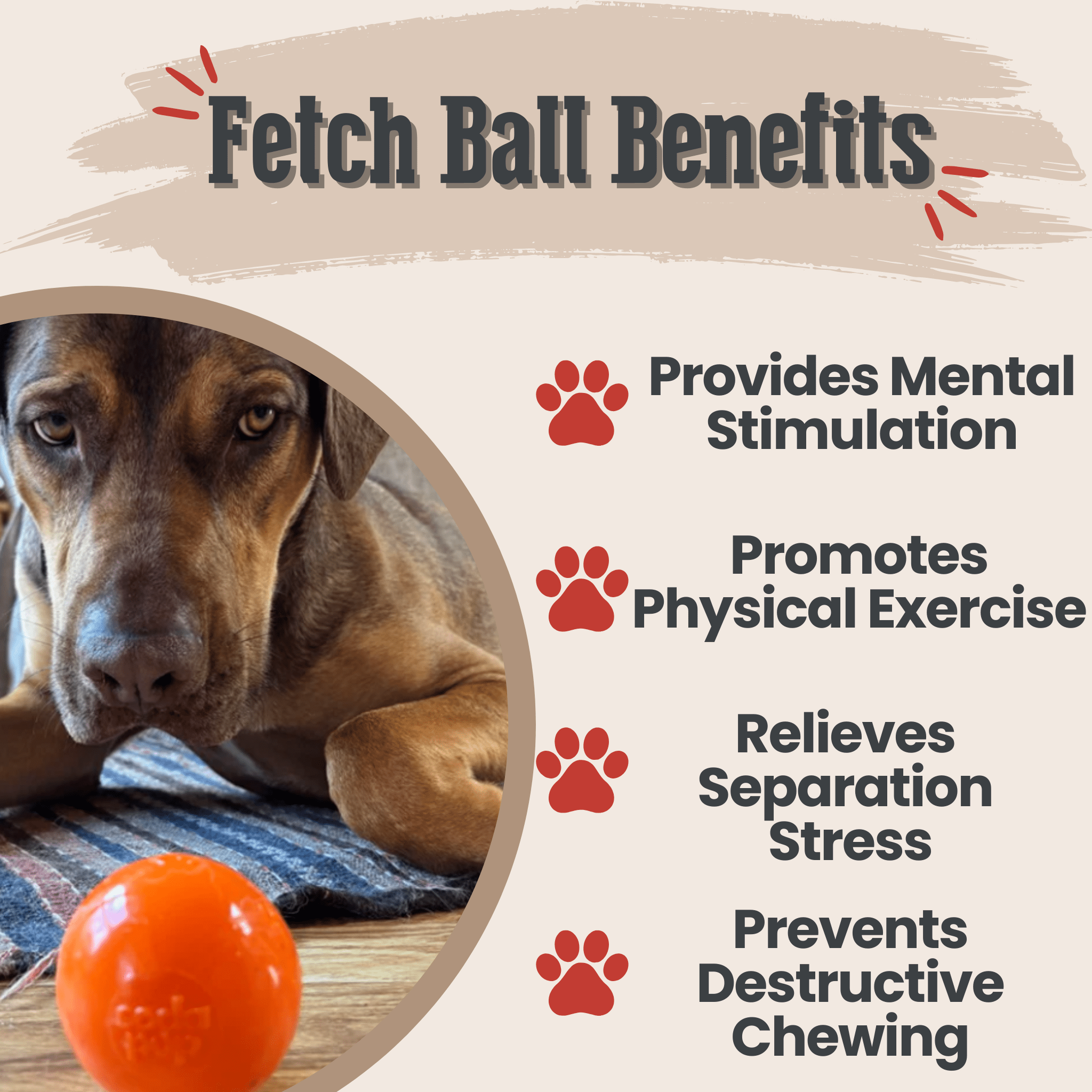 Dog lying on a rug with an orange ball Farmto-pettreats Dog Fetch Ball Crazy Bounce Ball surrounded by text about fetch ball benefits.