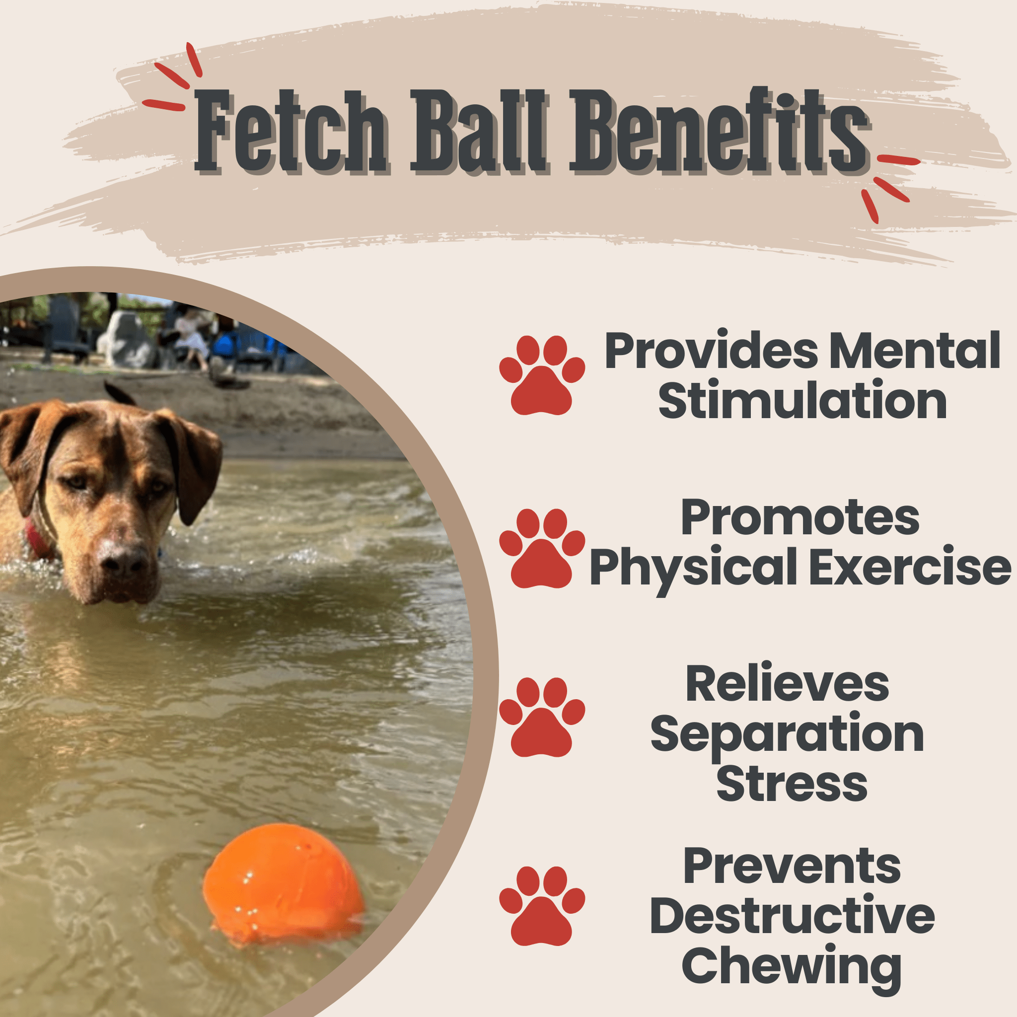 Dog playing with a Farmto-pettreats Dog Fetch Ball in water, with text listing benefits of fetch ball activities.