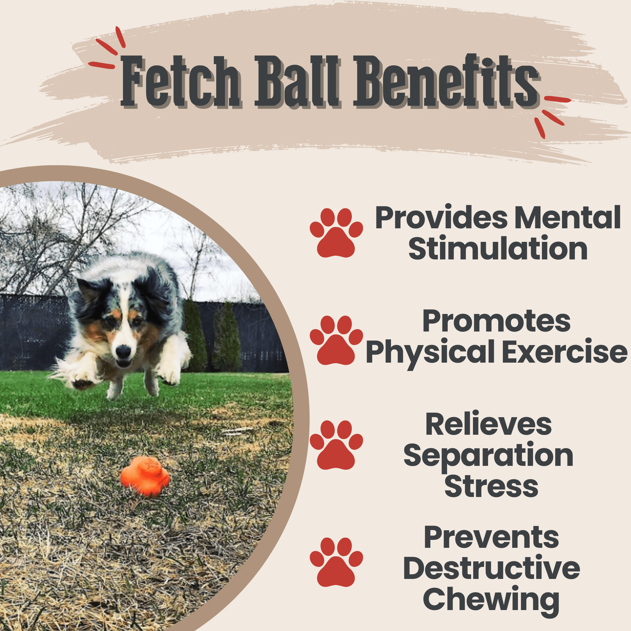 Dog playing fetch with a Farmto-pettreats Dog Fetch Ball Orange Crazy Bounce Ball text about benefits on a beige background