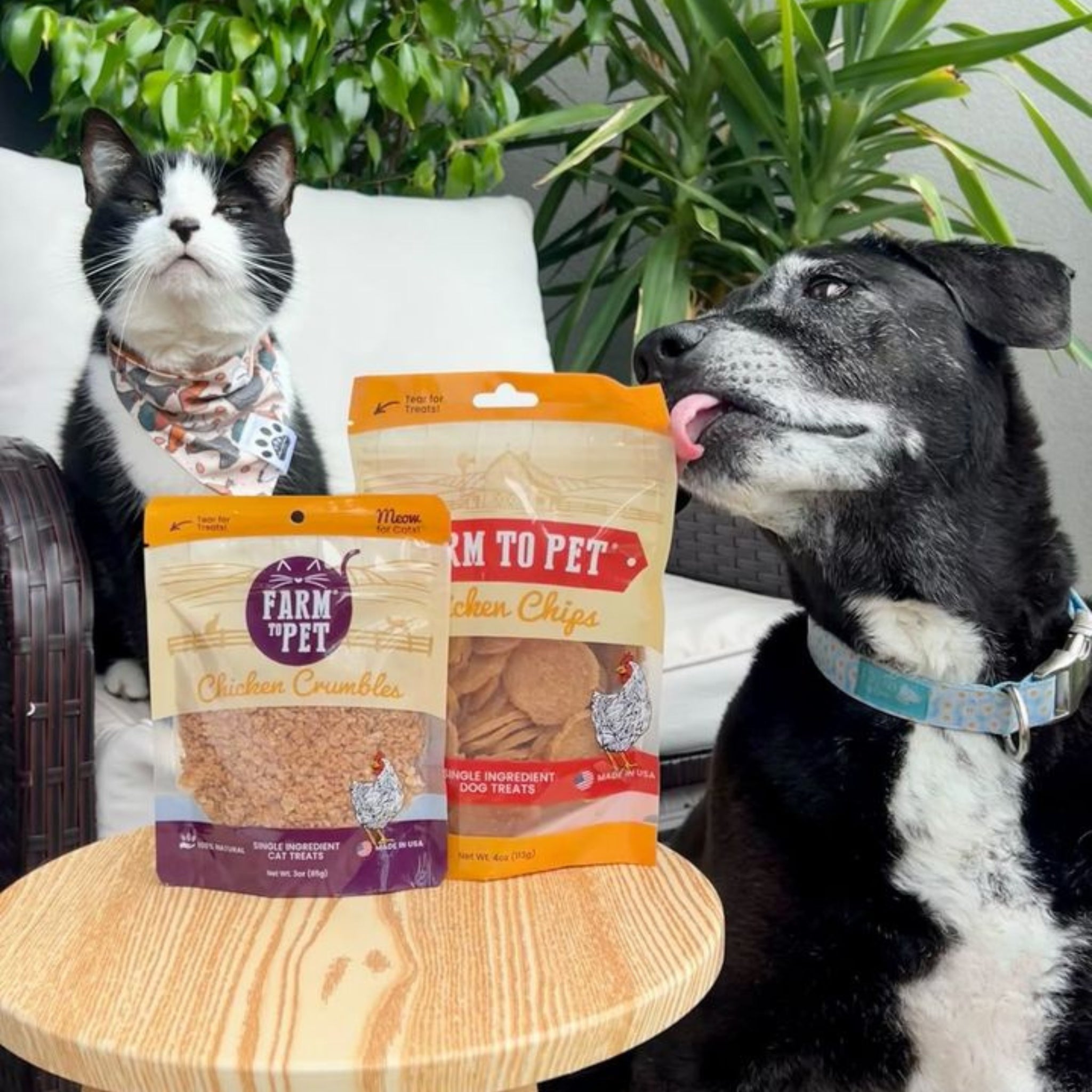 Farmto-pettreats healthy treats enjoyed by dogs and cats