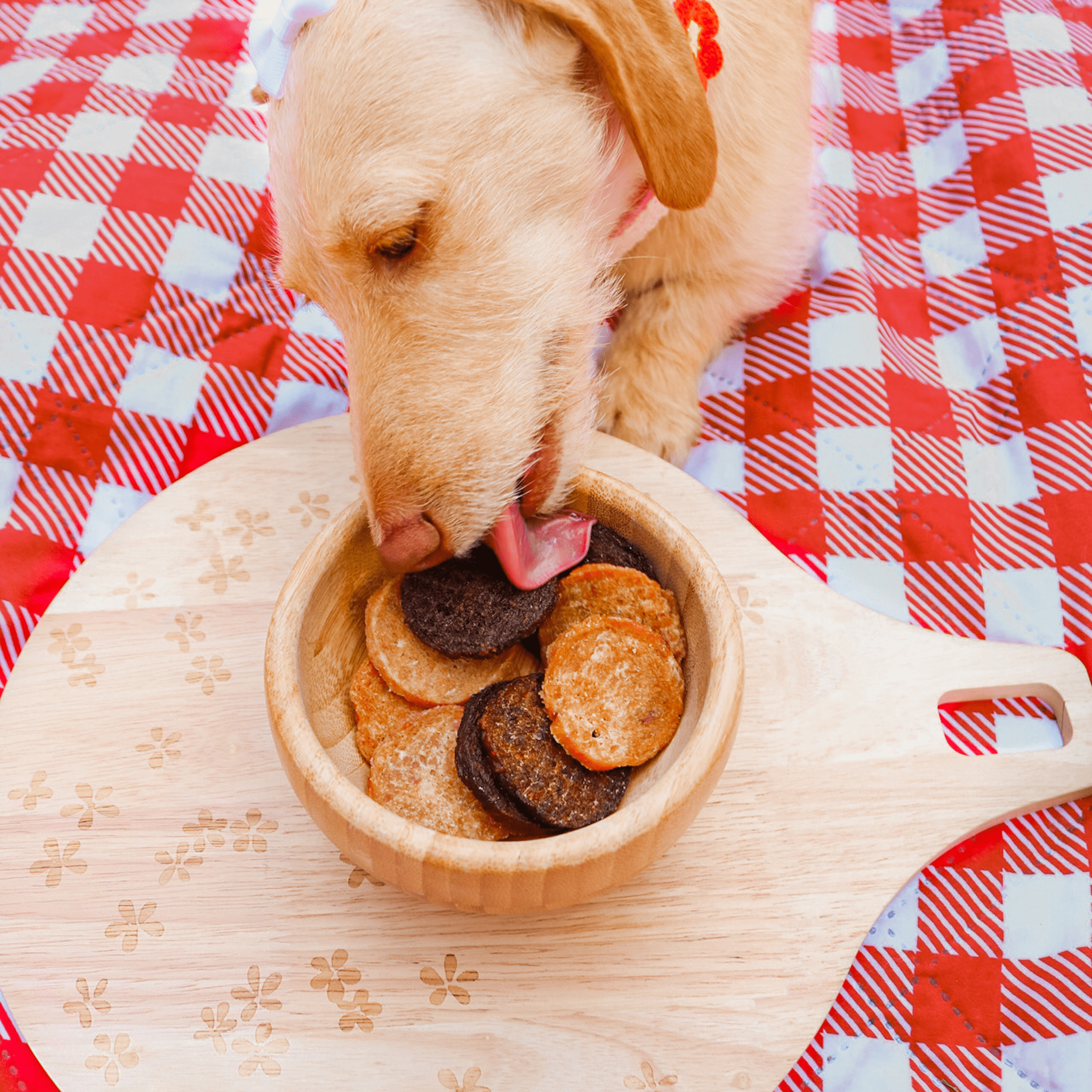  A Dog eating Farmto-pettreats Trick or Treat Chip Mix chicken, turkey, beef and fish treats from a wooden bowl on a red and white checkered tablecloth.