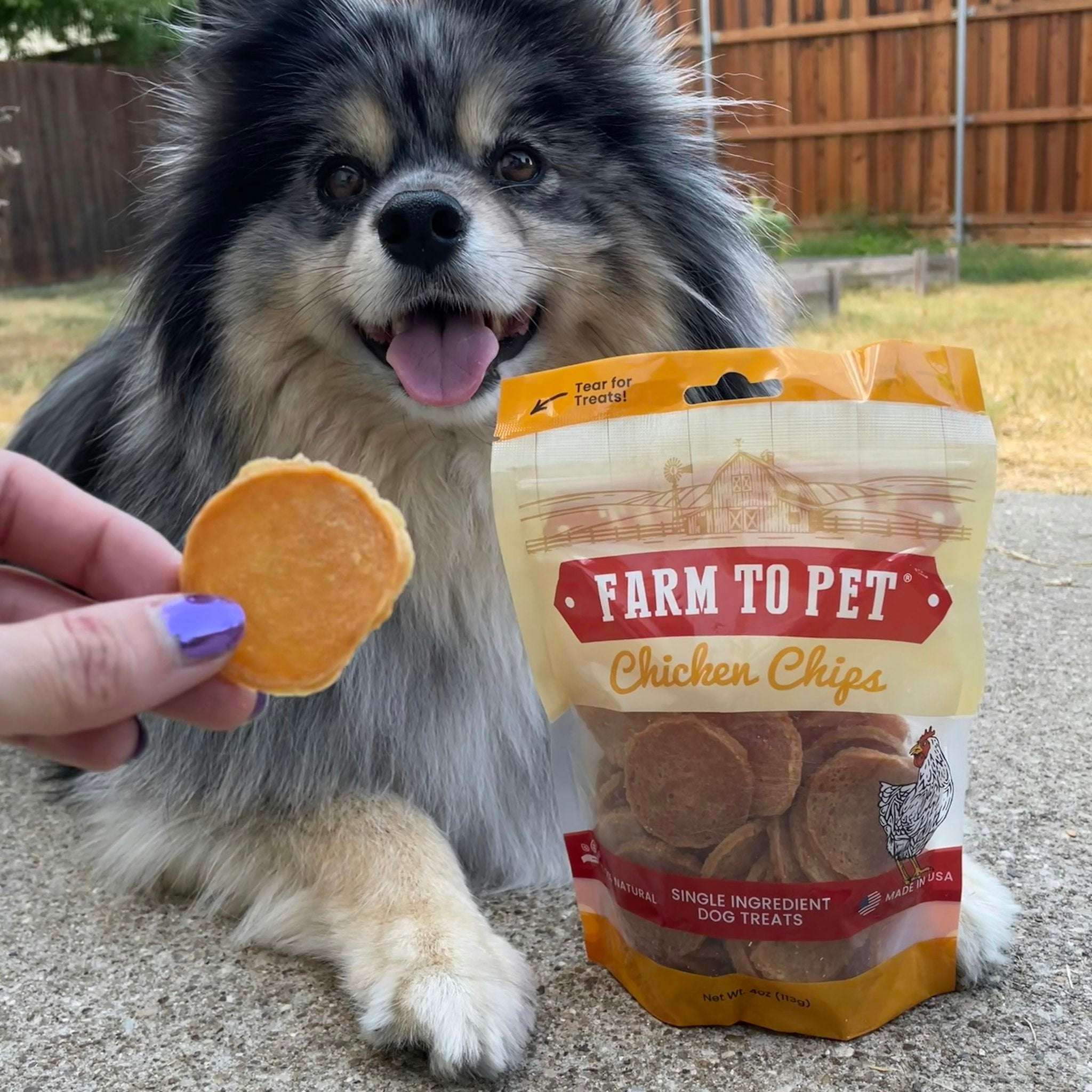 Farm to Pet's heart healthy Chicken Chips used as a snack for a dog 
