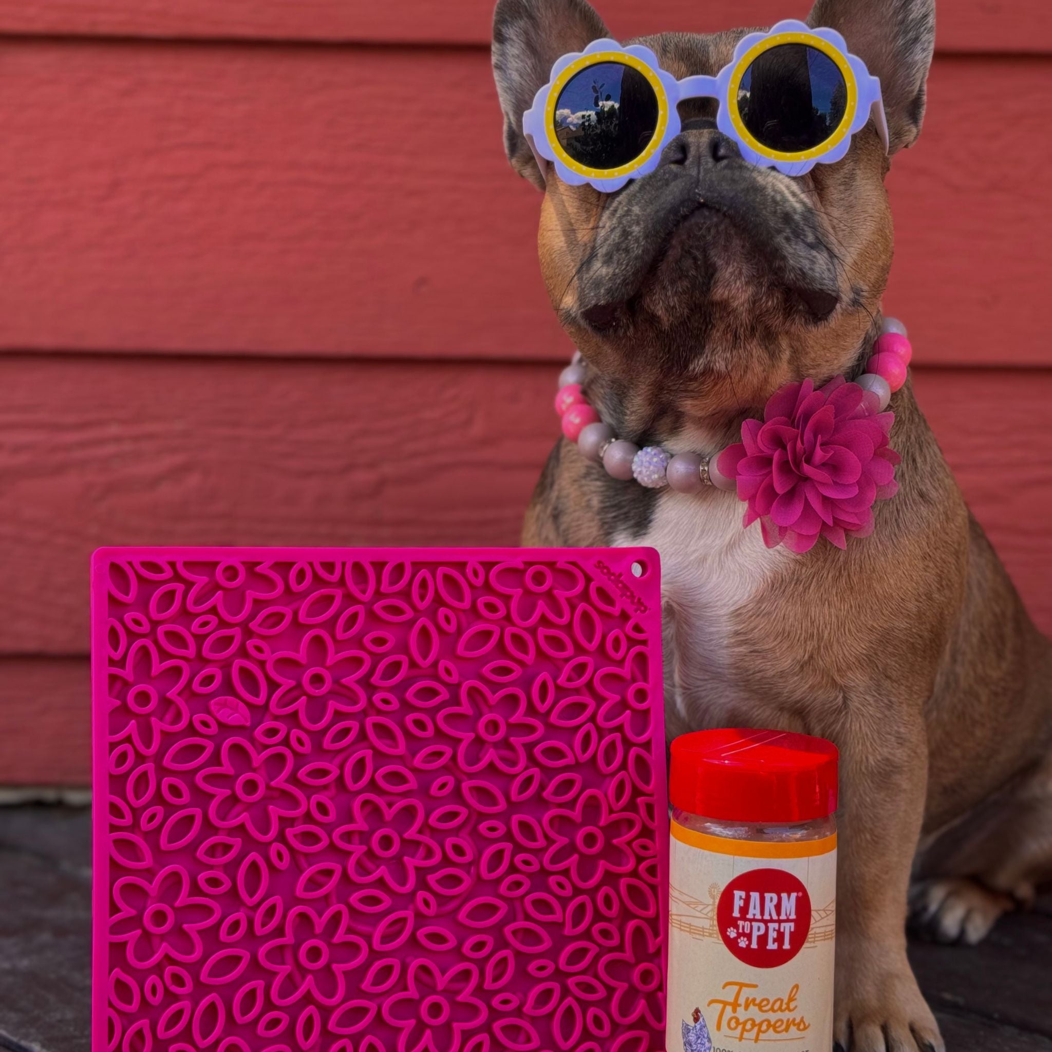 A Dog wearing colorful sunglasses with a Farmto-pettreats Pink Flower Power Lick Mat patterned mat and jar of chicken treat toppers in front of a red wall.