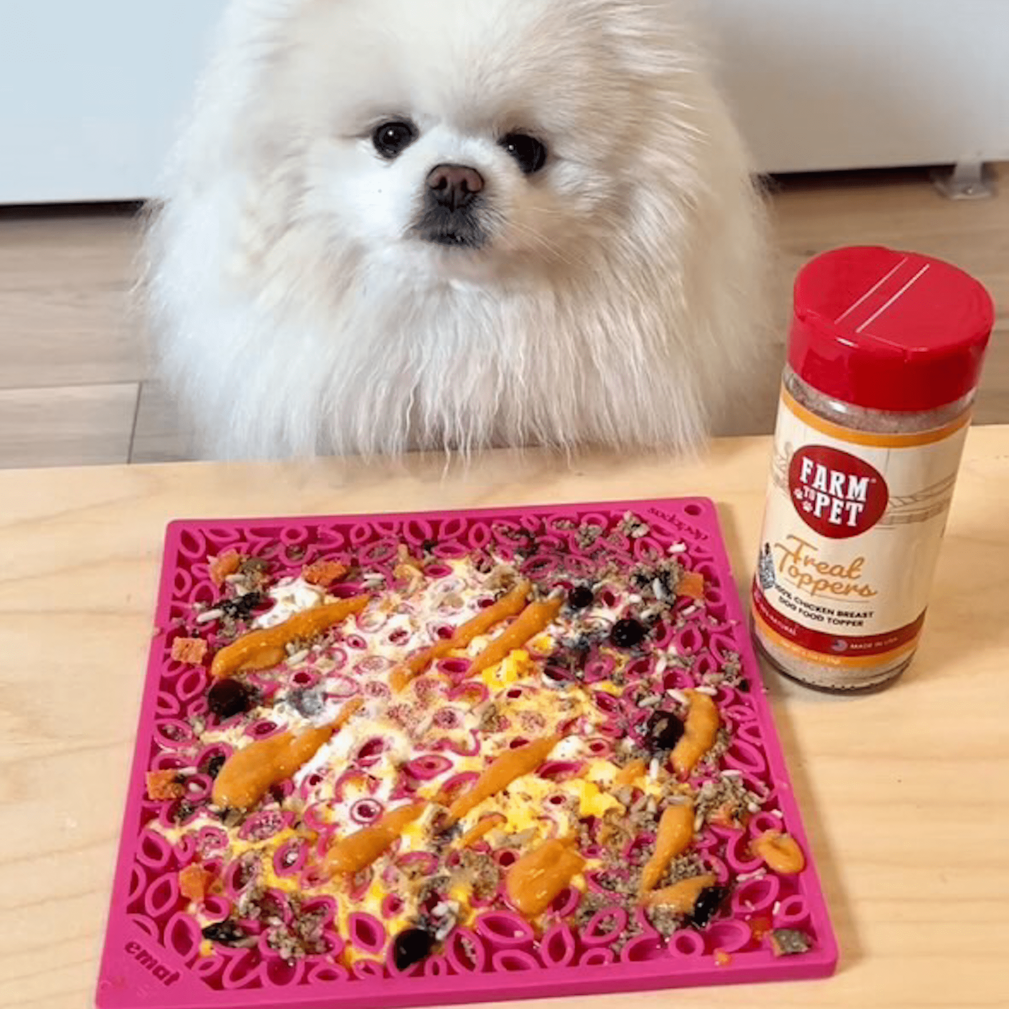 A White dog looking at a Farmto-pettreats  pink lick mat with chicken treat topper jar product on a wooden table.