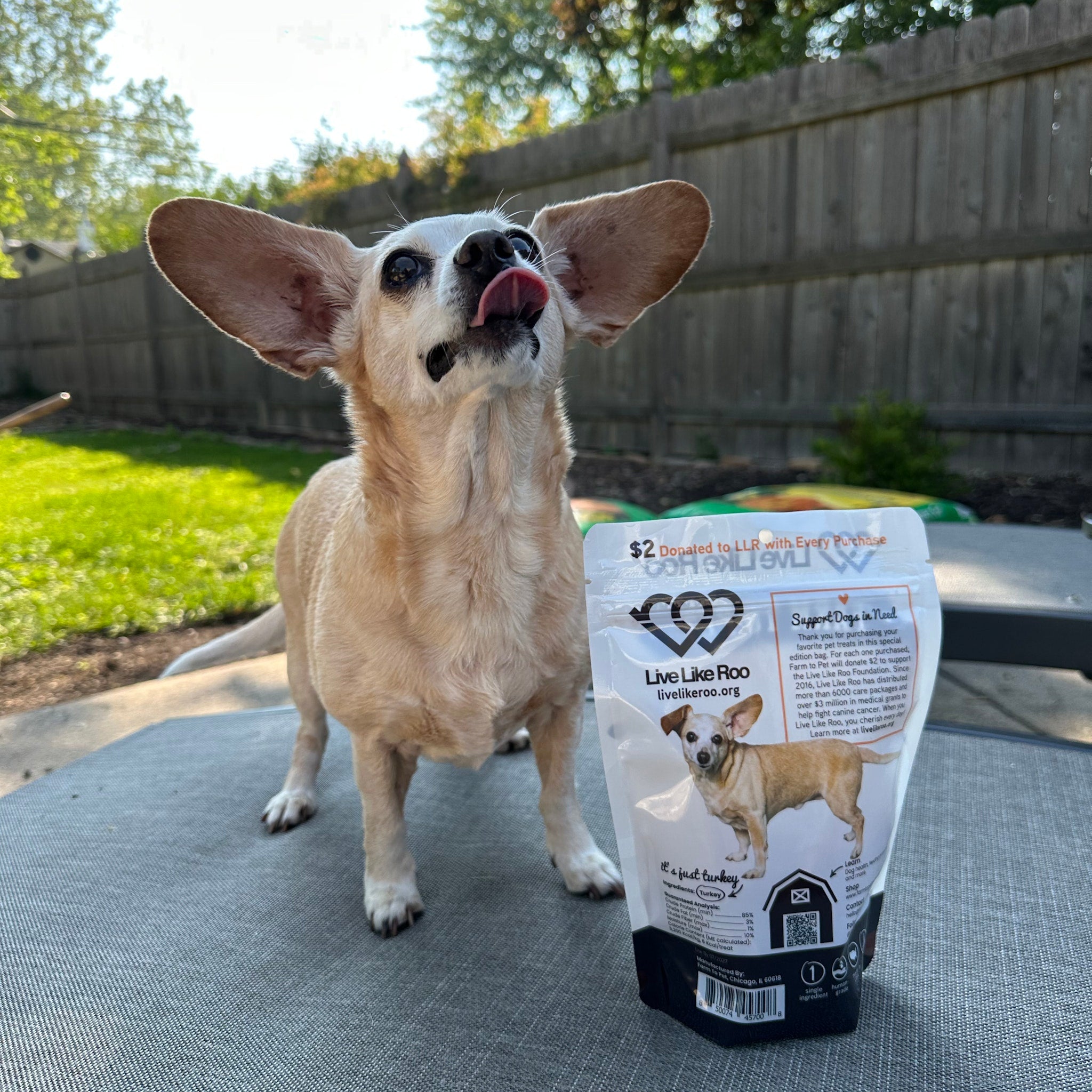 A small dog standing next to a product package of Live Like Roo Turkey Chips from Farmto-pettreats in an outdoor setting.
