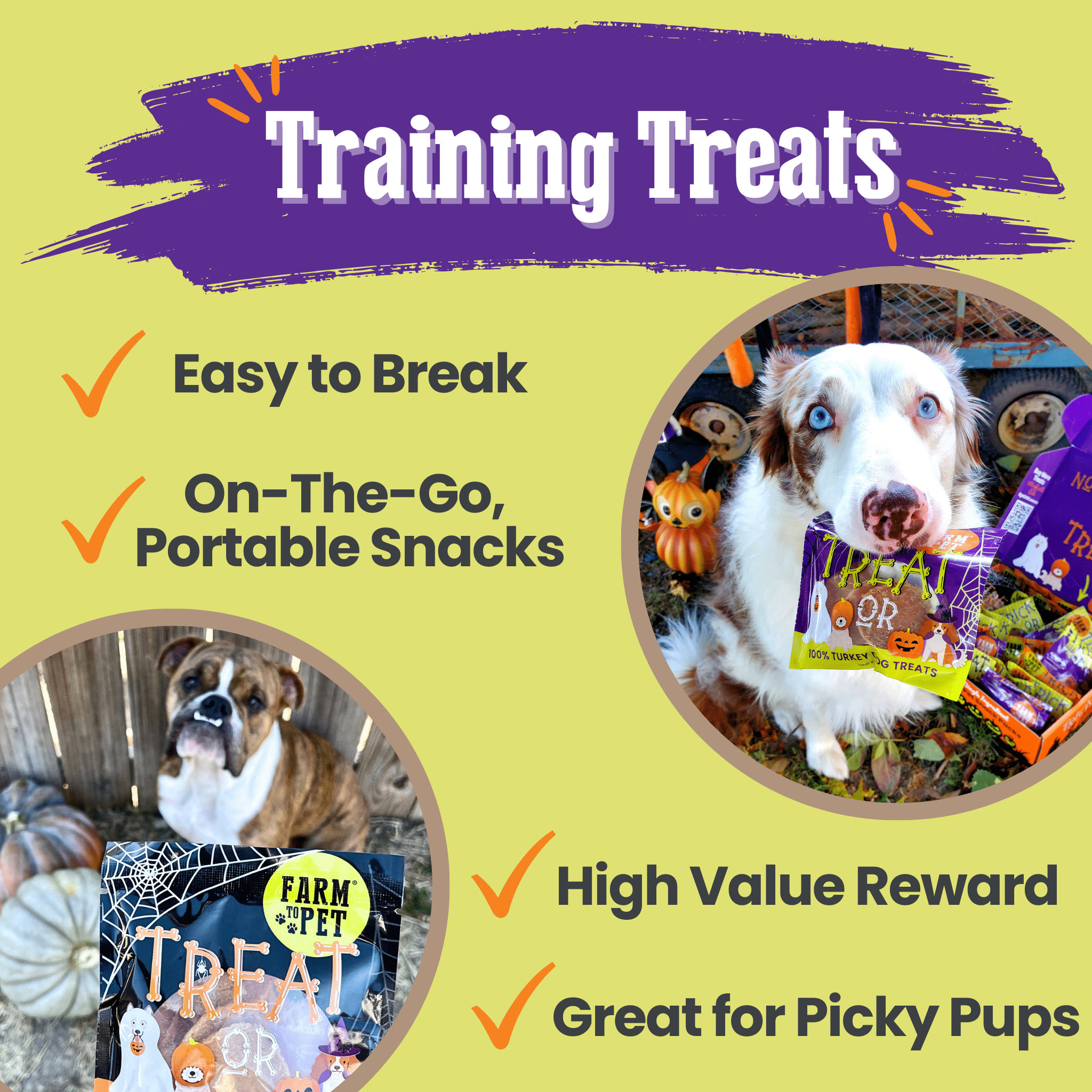 Promotional graphic for dog training treats Farmto-pettreats Halloween Treats with a dog holding a package and text highlighting features.