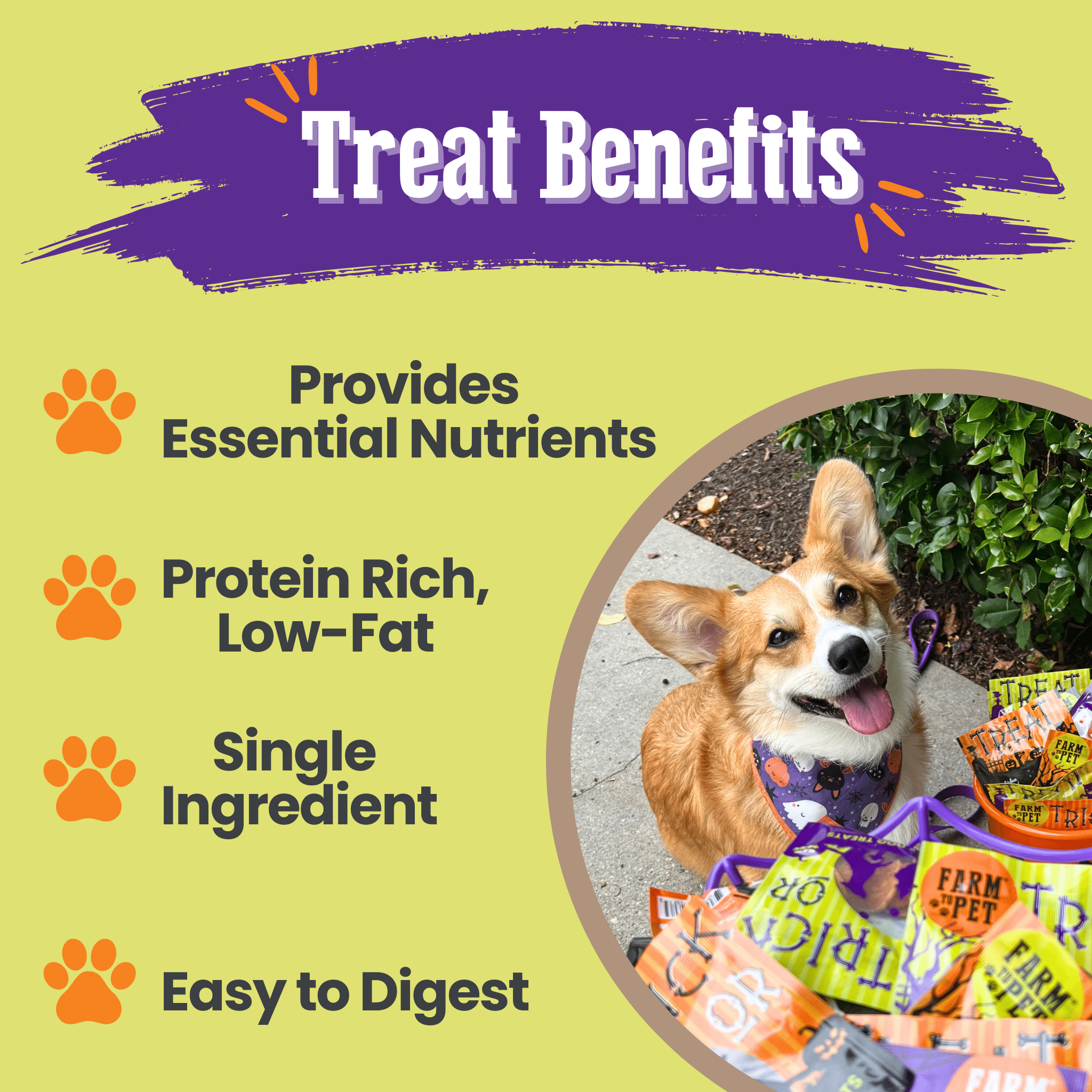 Farmto-pettreats Dog treat benefits listed with a dog and treats in the background on a yellow background
Treat Benefits 

