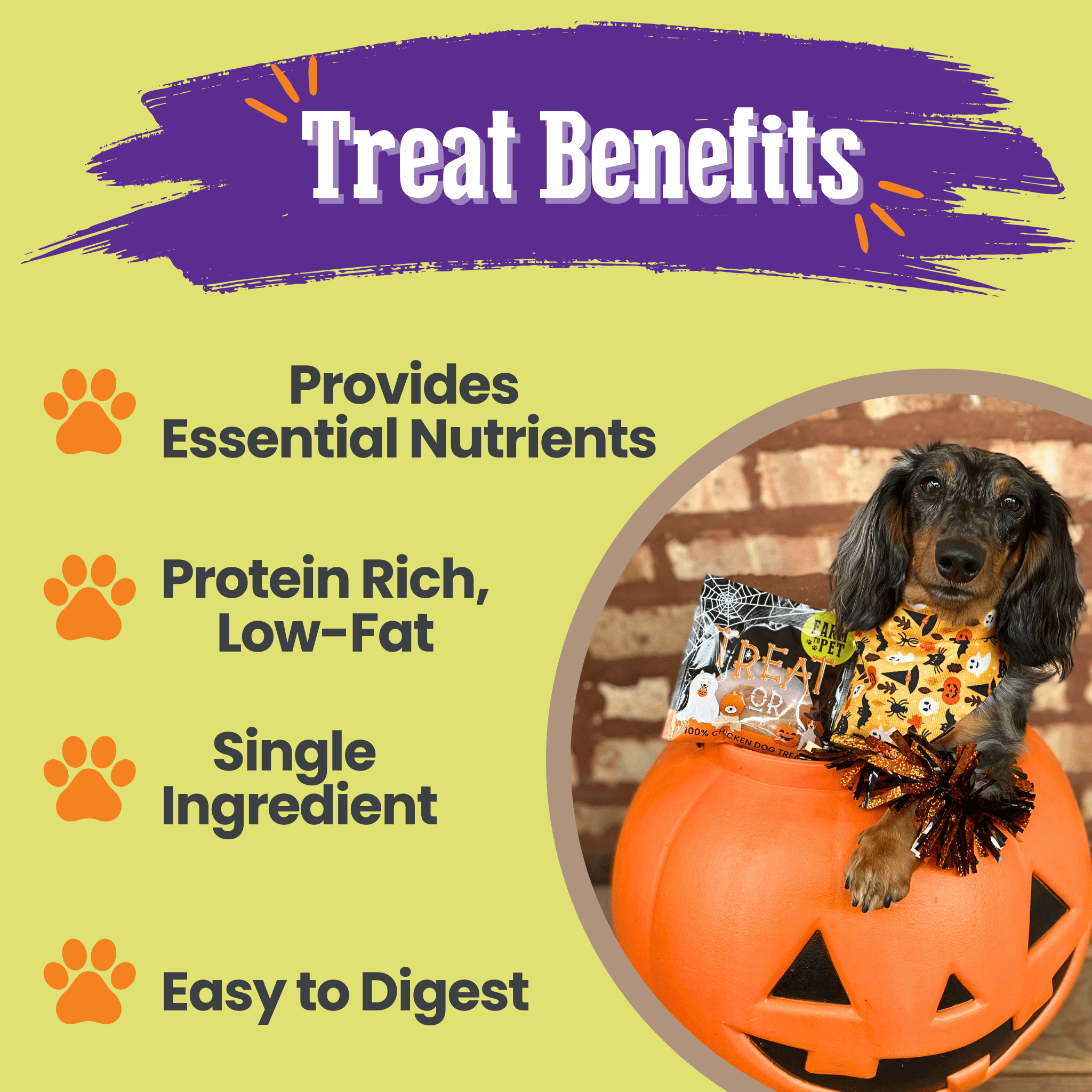 Farmto-pettreats Trick or Treat Chip Mix with Chicken, Turkey, Beef and Fish in a Halloween-themed design bags on a green background.  Dog in a Halloween costume with treat benefits listed on a green background