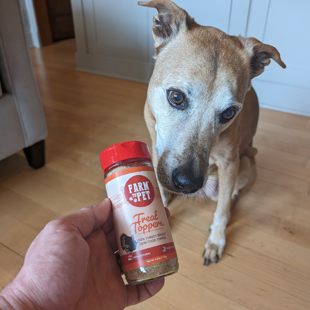 A brown dog indoors sitting with a jar of Farmto-pettreats Turkey Treat Dog Food Topper.