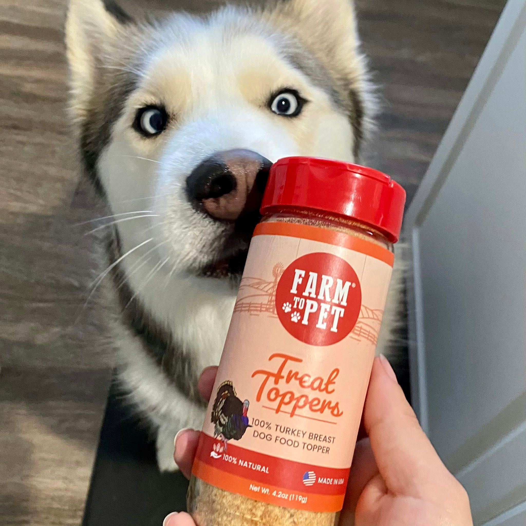  A Husky dog with a jar of Farmto-pettreats Turkey Treat Dog Food Topper.