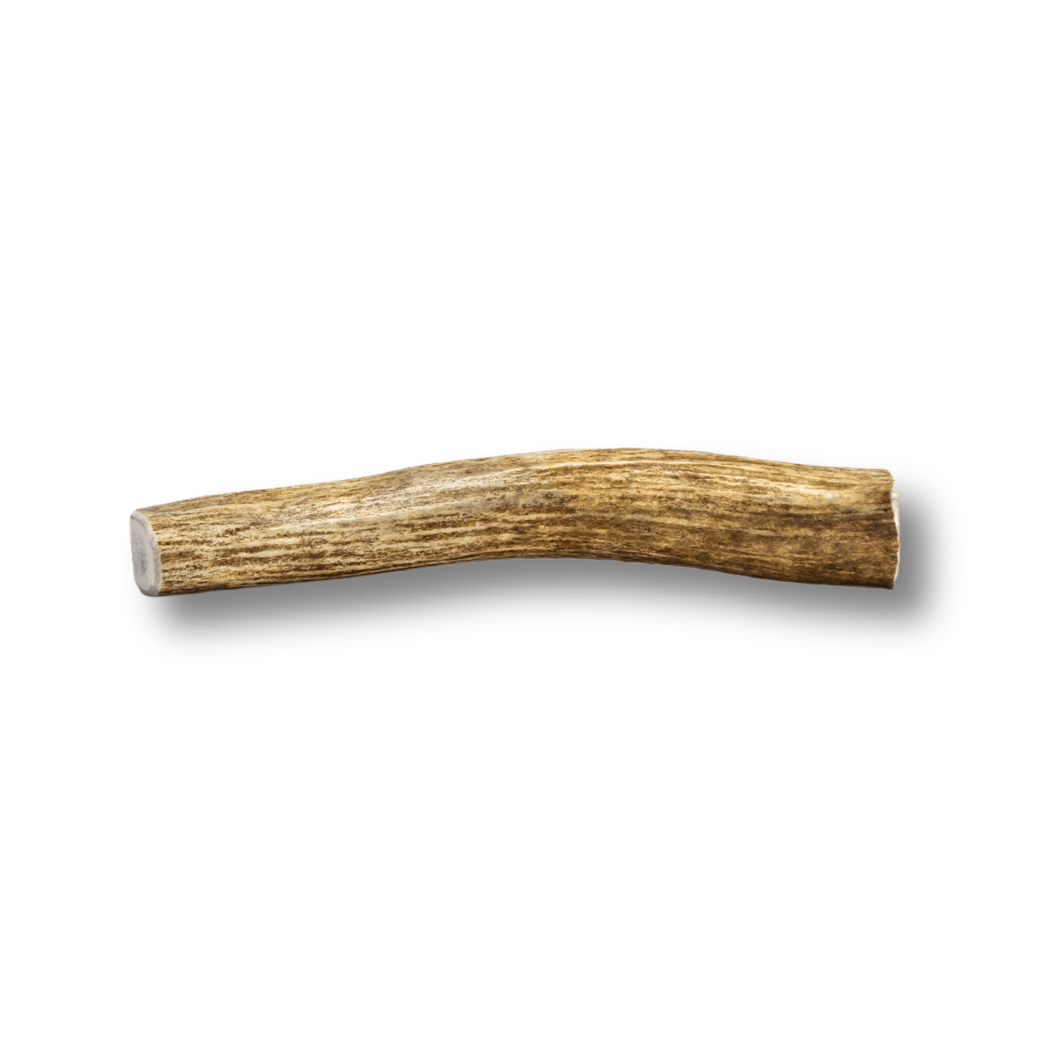 Product picture of a Farmto-pettreats Split Medium Elk Antler on a white backgound.