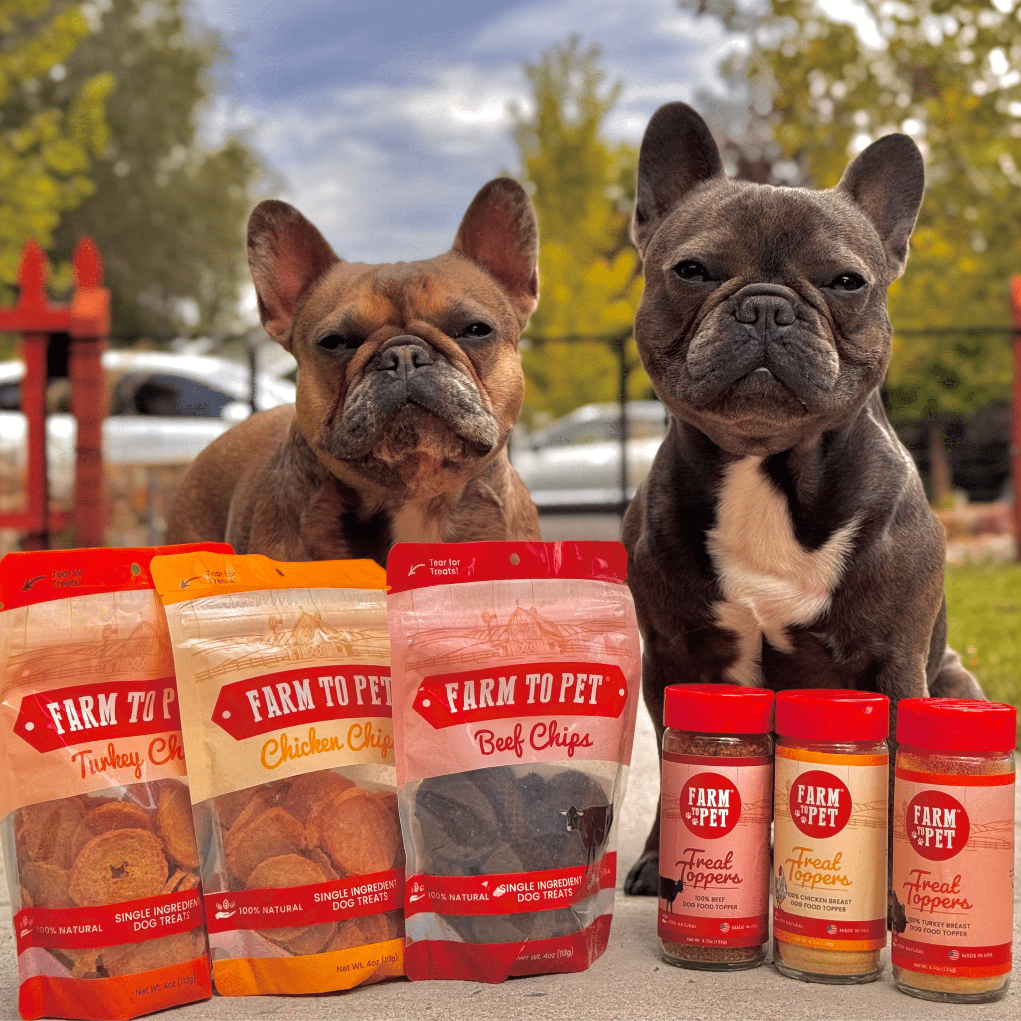 Two French bulldogs sitting outside by Farmto-pettreats products.