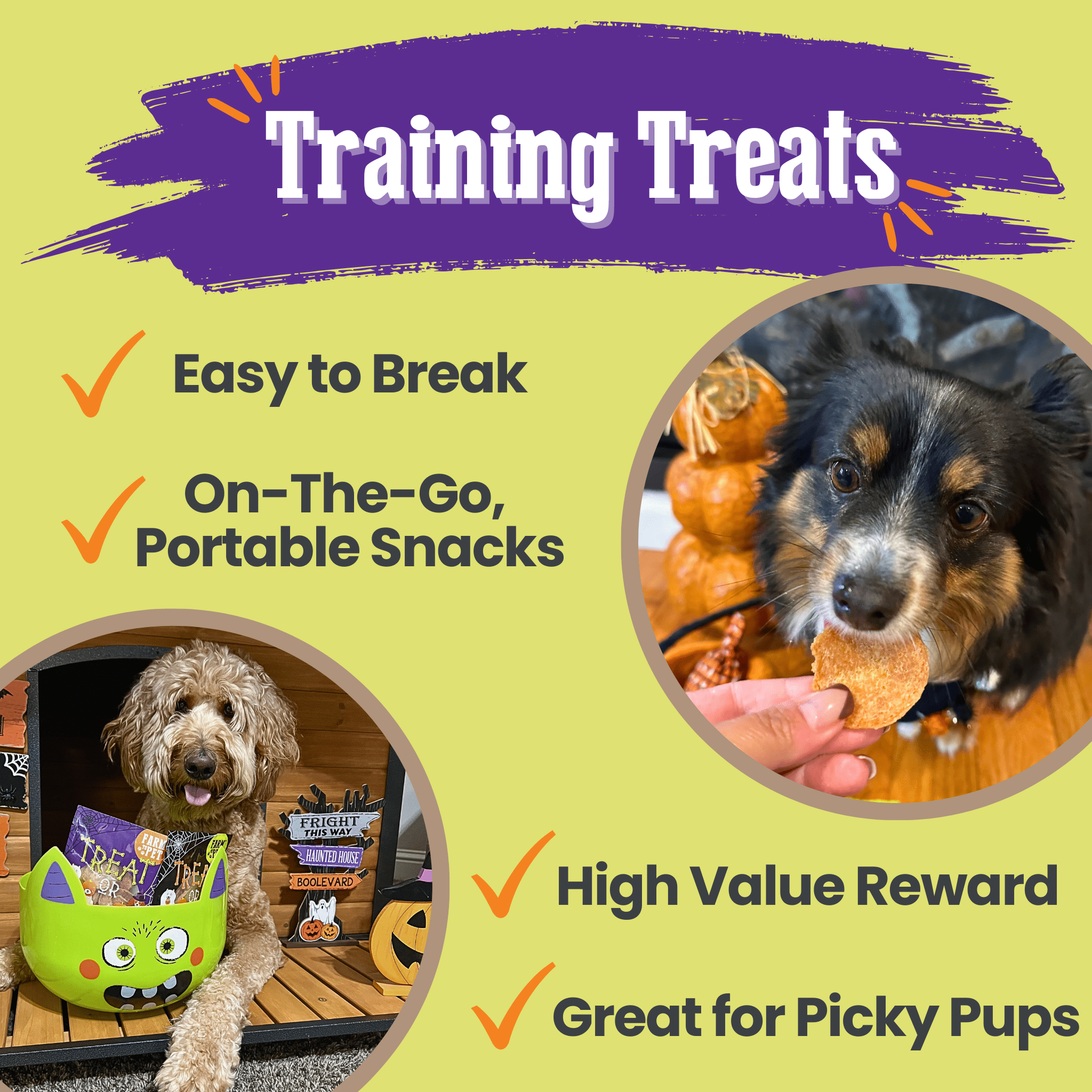 Farmto-pettreats Trick or Treat Chip Mix with Chicken, Turkey, Beef and Fish in a Halloween-themed design bags on a green background. front of bags Dog training treats with a green background, text highlighting features, and images of dogs and treats.