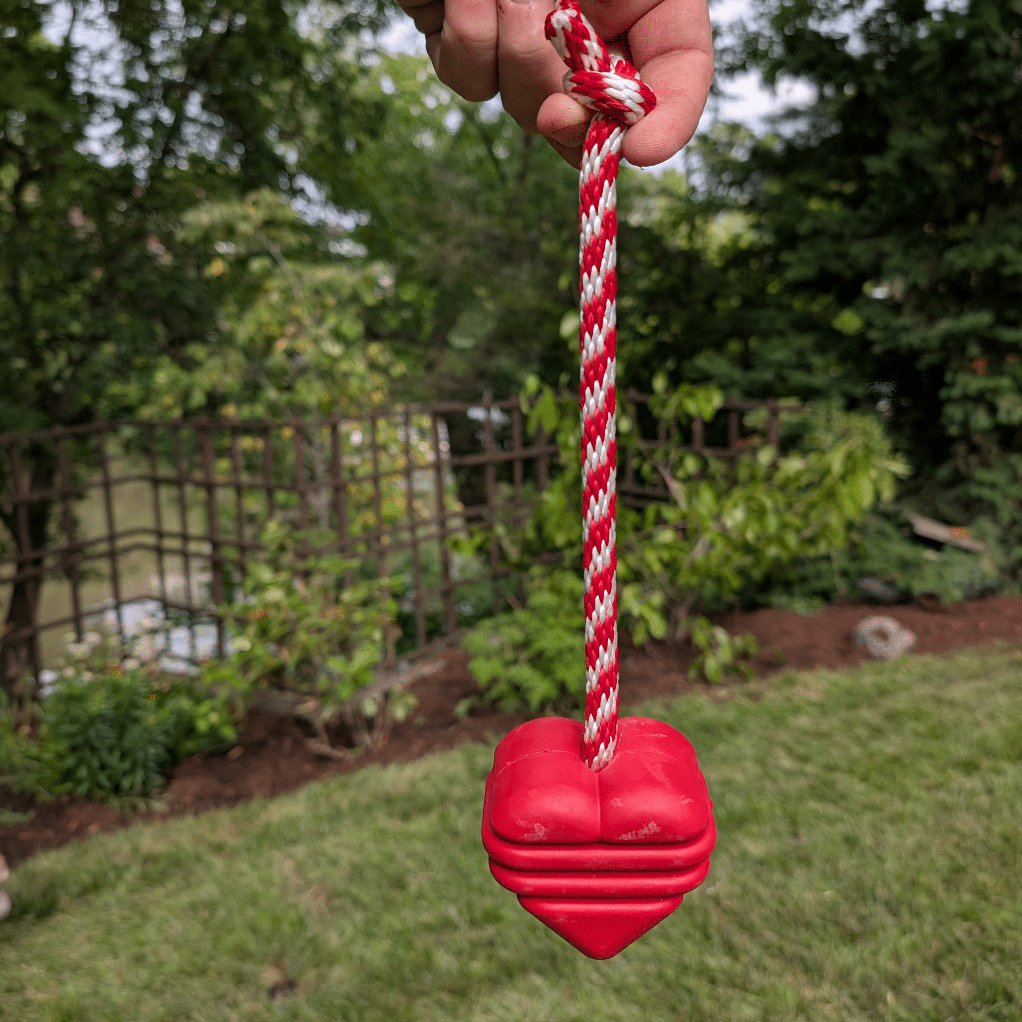 Farmto-pettreats Tug Toy Heart on a String Red dog tug with a red and white rope handle held by a hand outdoors.