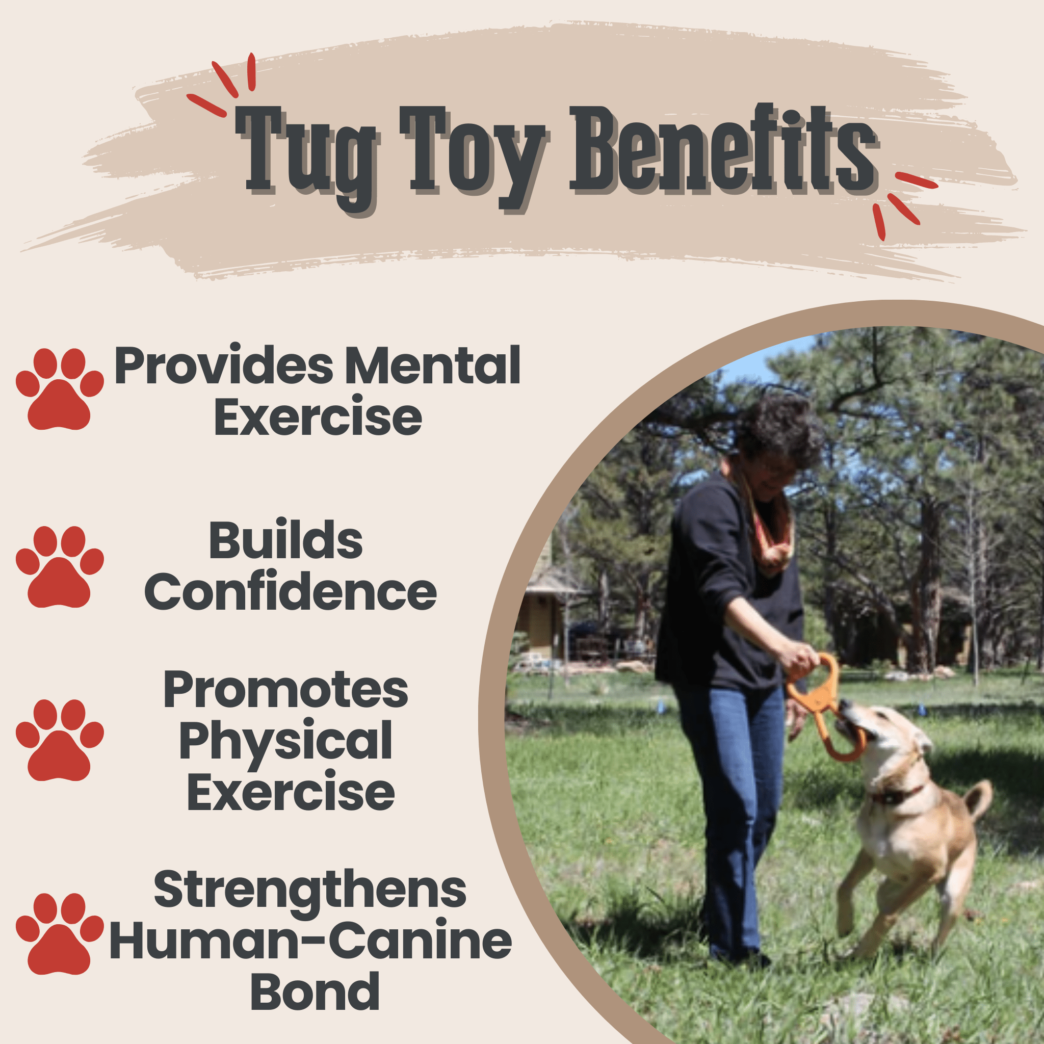 Person playing with a Farmto-pettreats Tug Toy Orange Pop Top Tug with a dog outdoors, with about tug toy benefits.