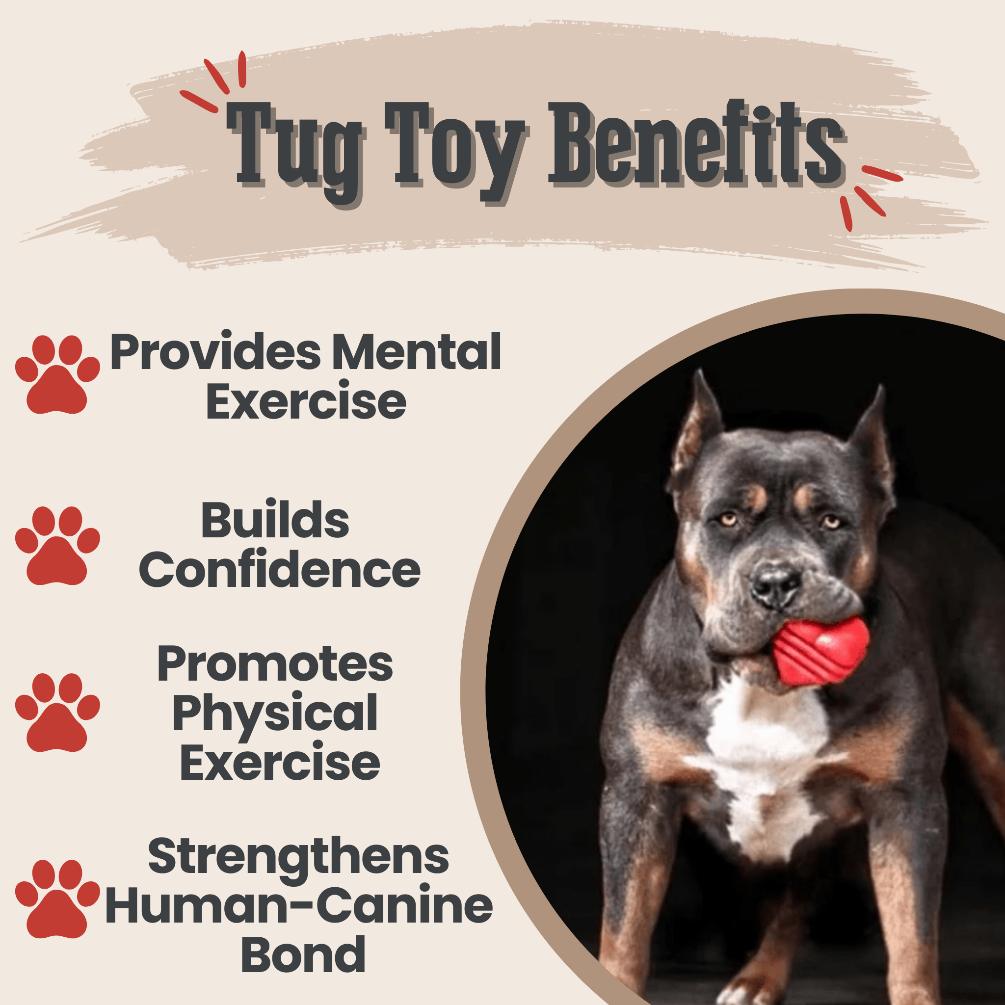 A Dog with a Farmto-pettreats Tug Toy Heart on a String  and text about benefits on a beige background