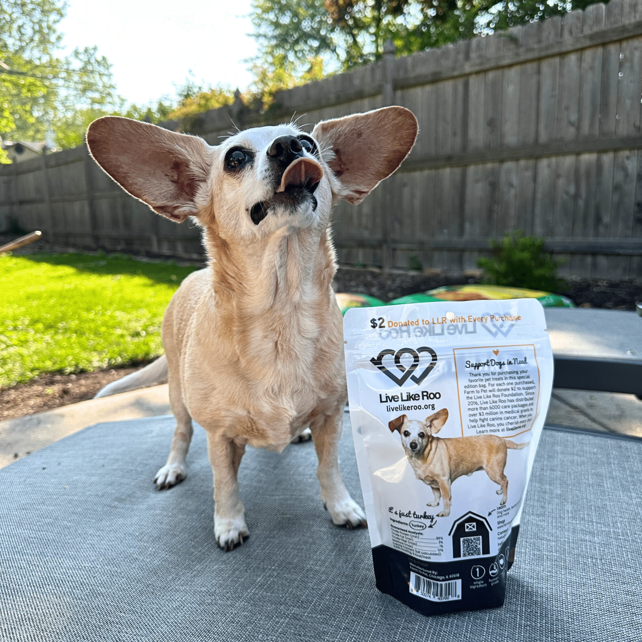 Live Like Roo Turkey Chips for Dogs | Dog Treats That Give Back - Farmto-pettreats