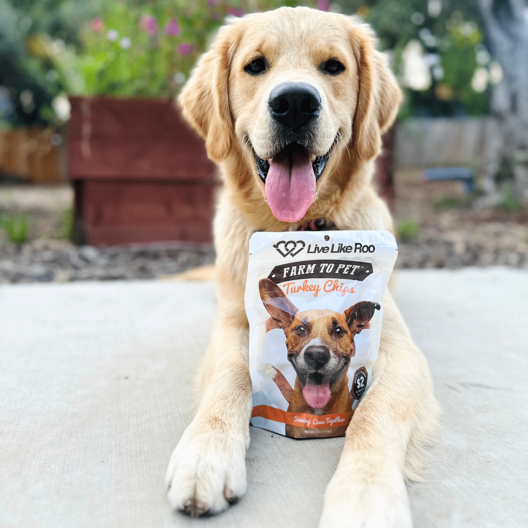A very happy dog holding a Farmto-pettreats turkey chips Live Like Roo bag outdoors.