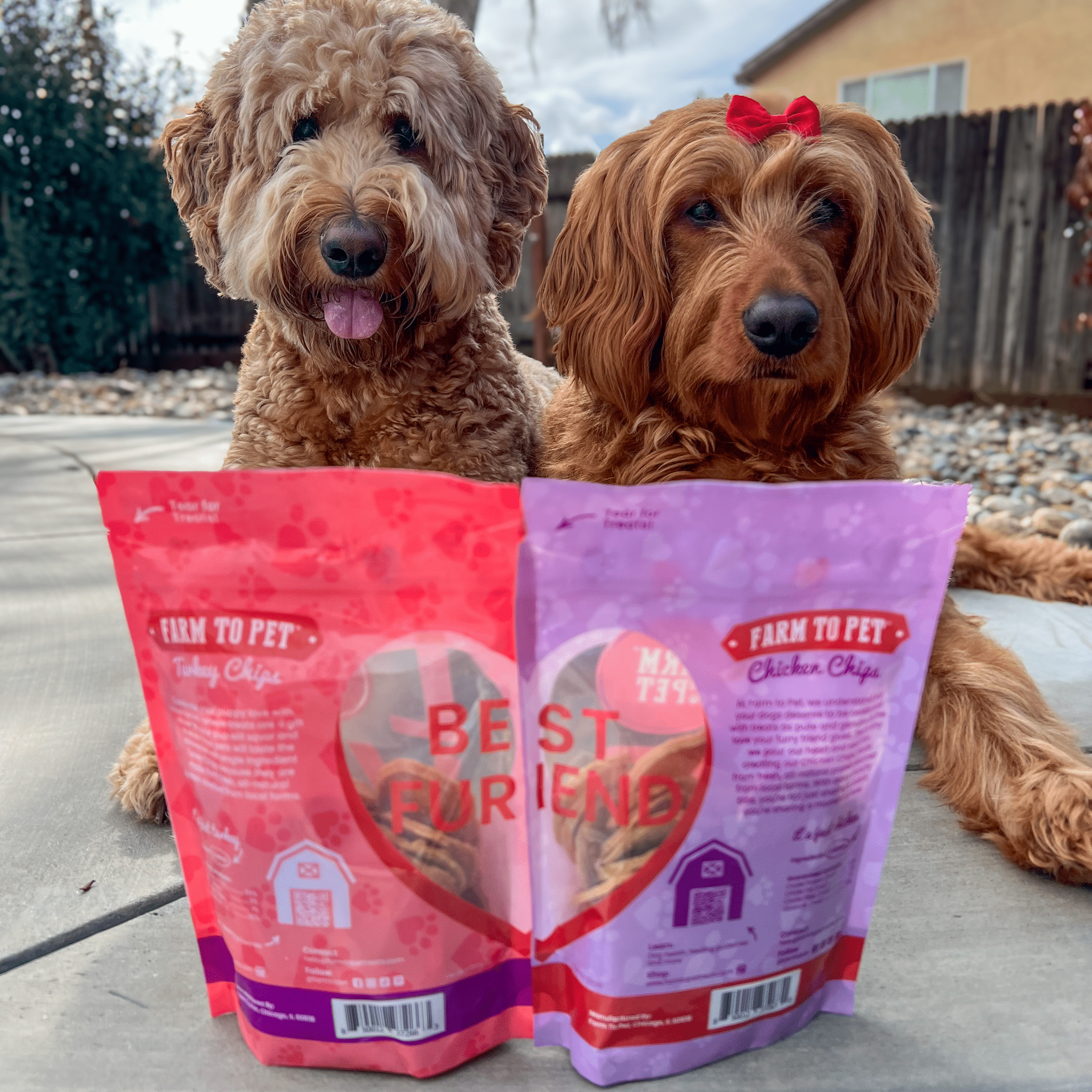 Two Brown doodles laying outside with the Farmto-pettreats Valentine Bundle Best Furiend Heart on back of bag.