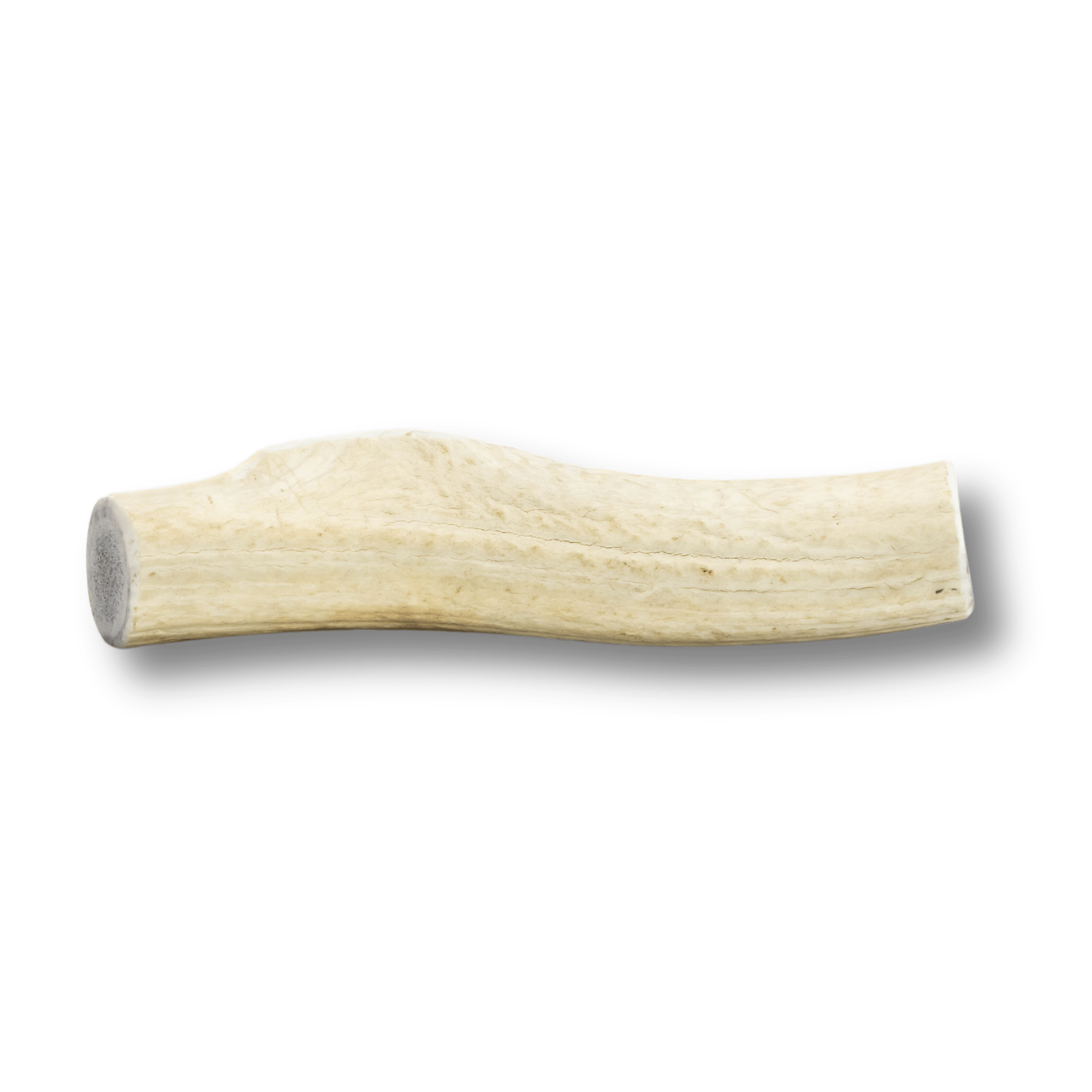  Product Photo of a Farmto-pettreats Giant Whole Elk Antler with a White Background 