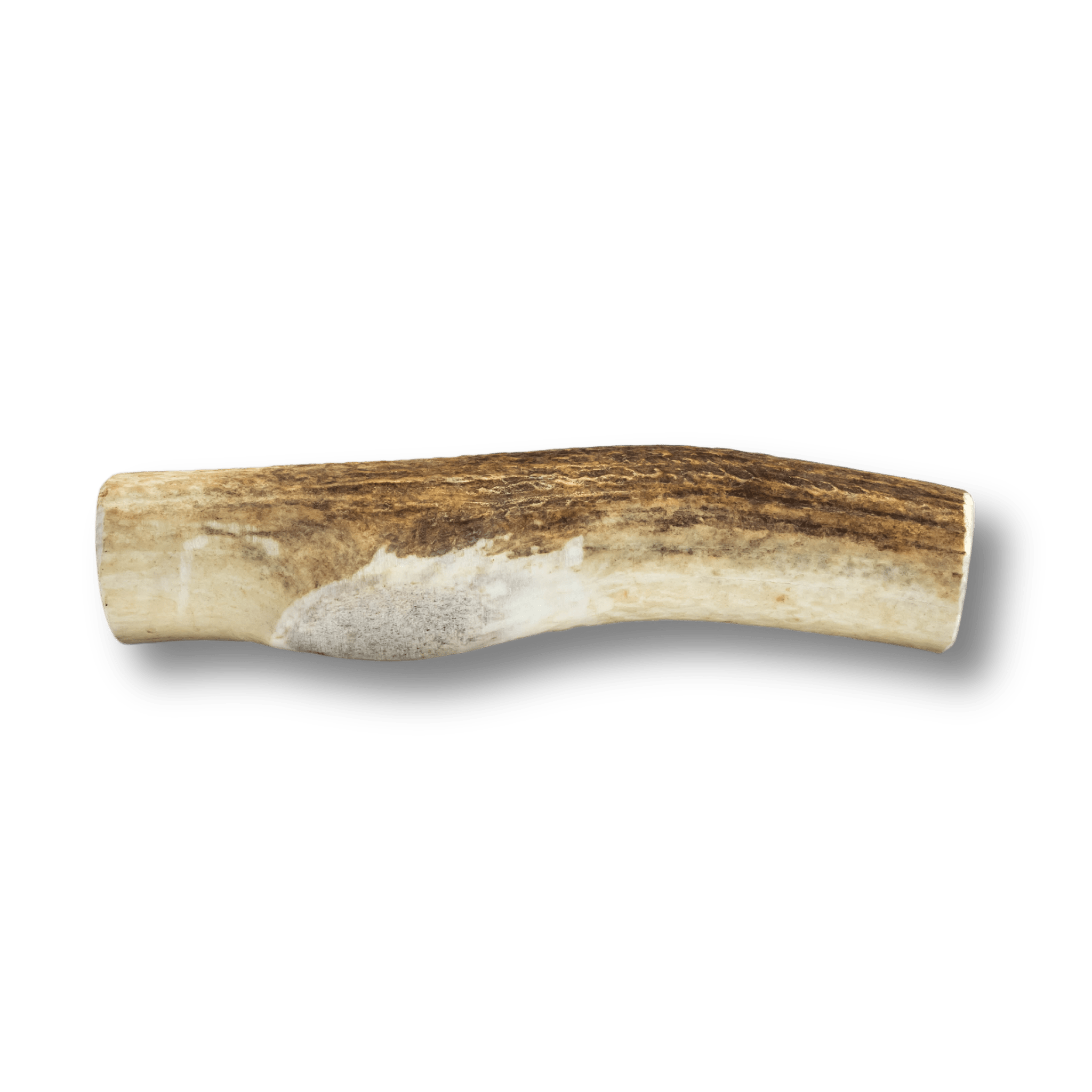  Product photo of a Giant Farmto-pettreats Whole Elk Antler in Semi Dark Brown Color with a White Background