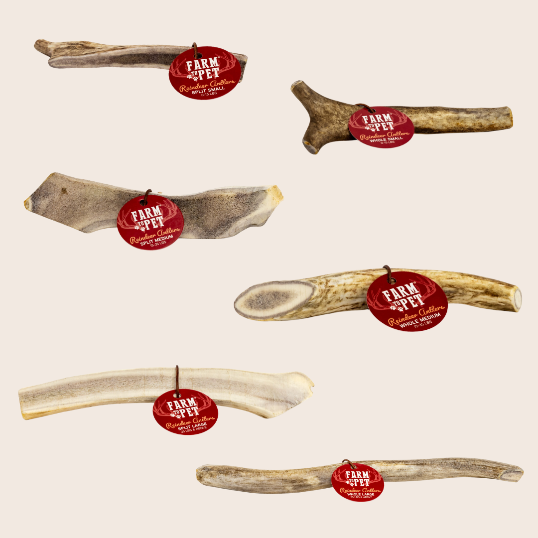 Product Picture of Farmto-pettreats Whole and Split Reindeer Antlers for Dogs in cream color background.