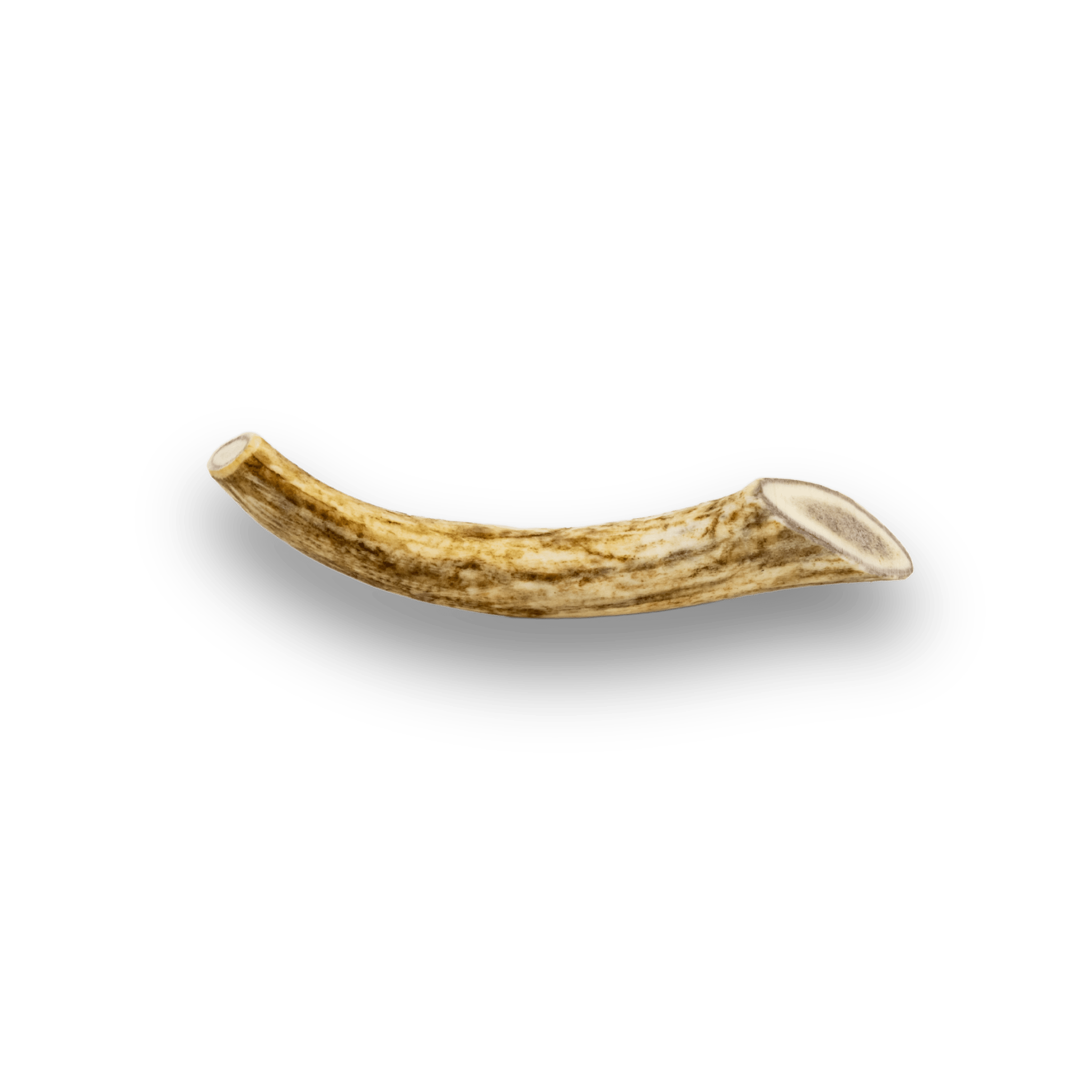 Product Picture of Farmto-pettreats Medium Whole Reindeer Antler for Dog in white background.