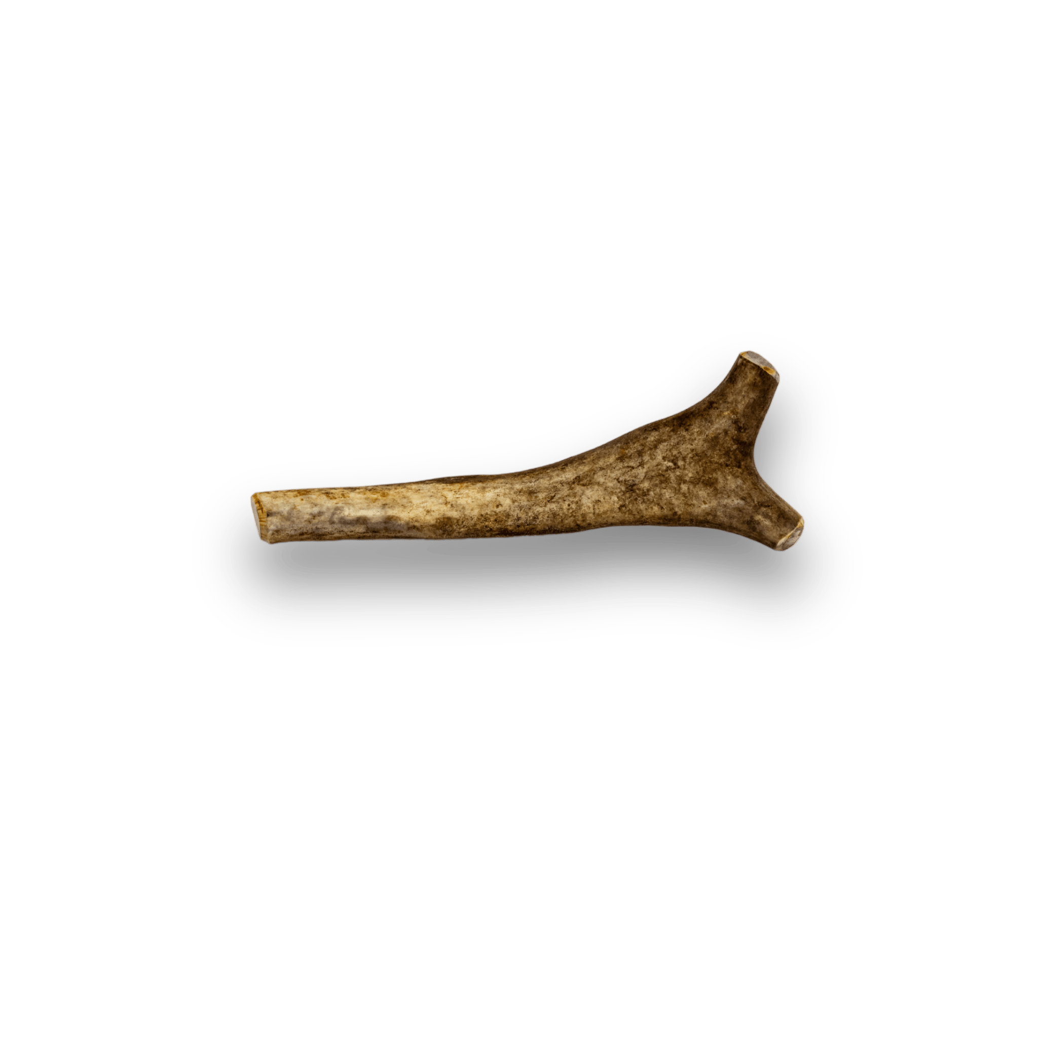 Product Picture of Farmto-pettreats Small Whole Reindeer Antler for Dogs with white background. 