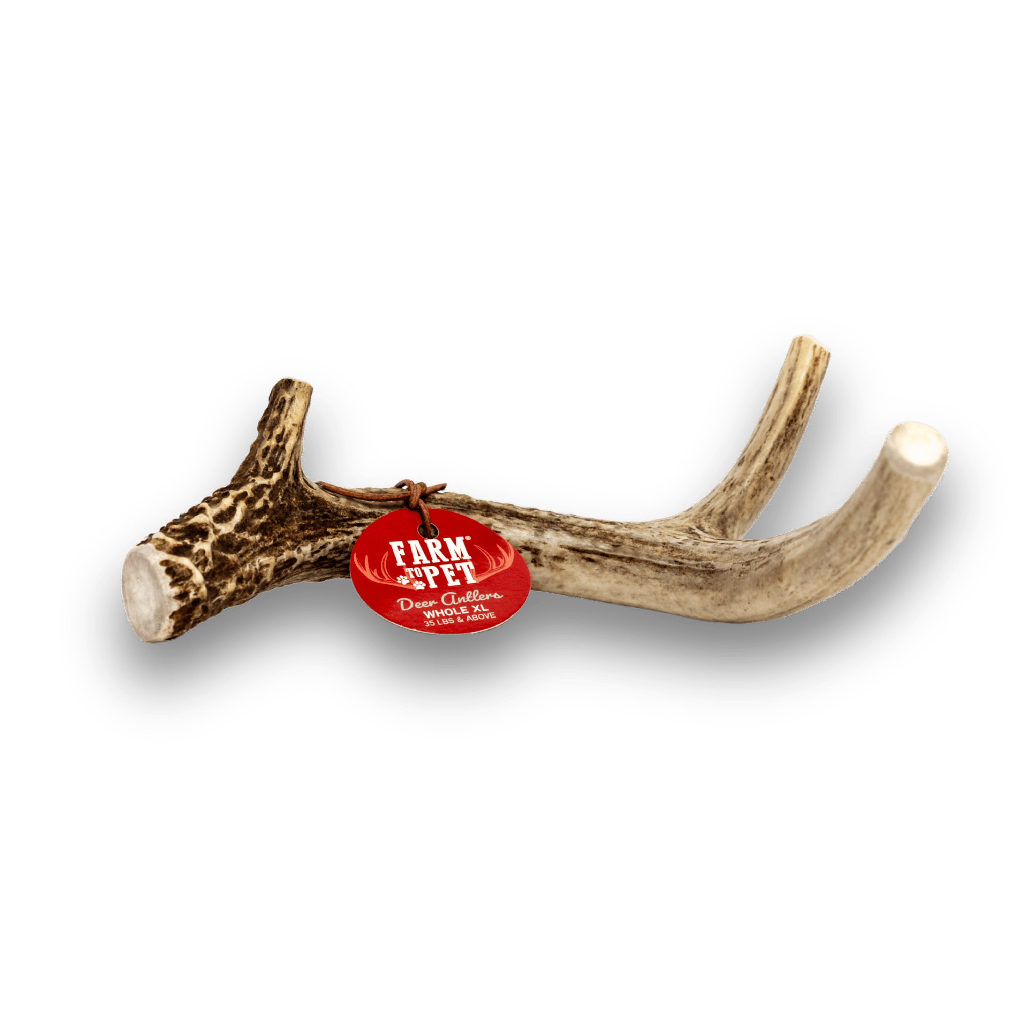  Picture of a Farmto-pettreats Whole Deer Extra Large Antler for Dogs