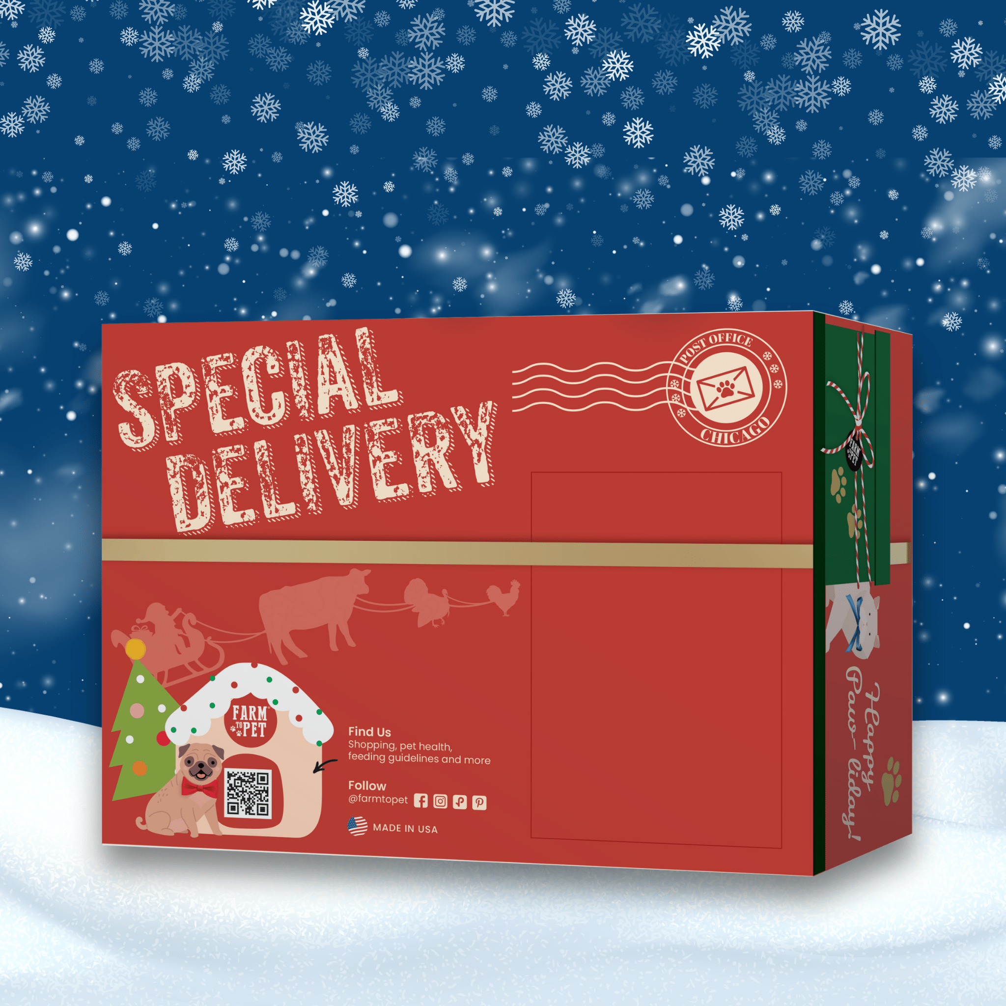 Red Christmas-themed box labeled 'Special Delivery' with a snowy background from Farmto-pettreats for holiday gifting for dogs.