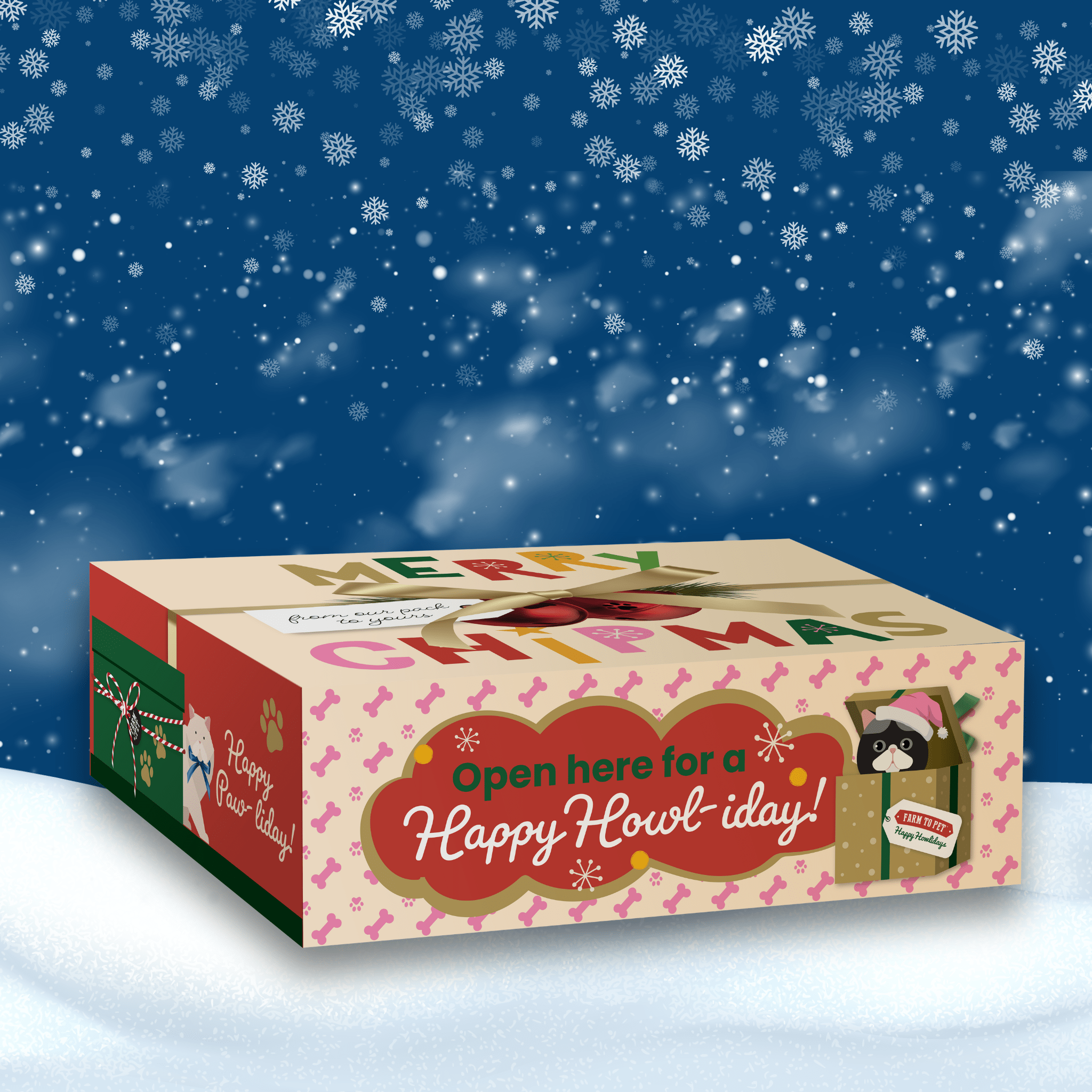 Christmas-themed gift box with festive design on a snowy background from Farmto-pettreats for dog treats.